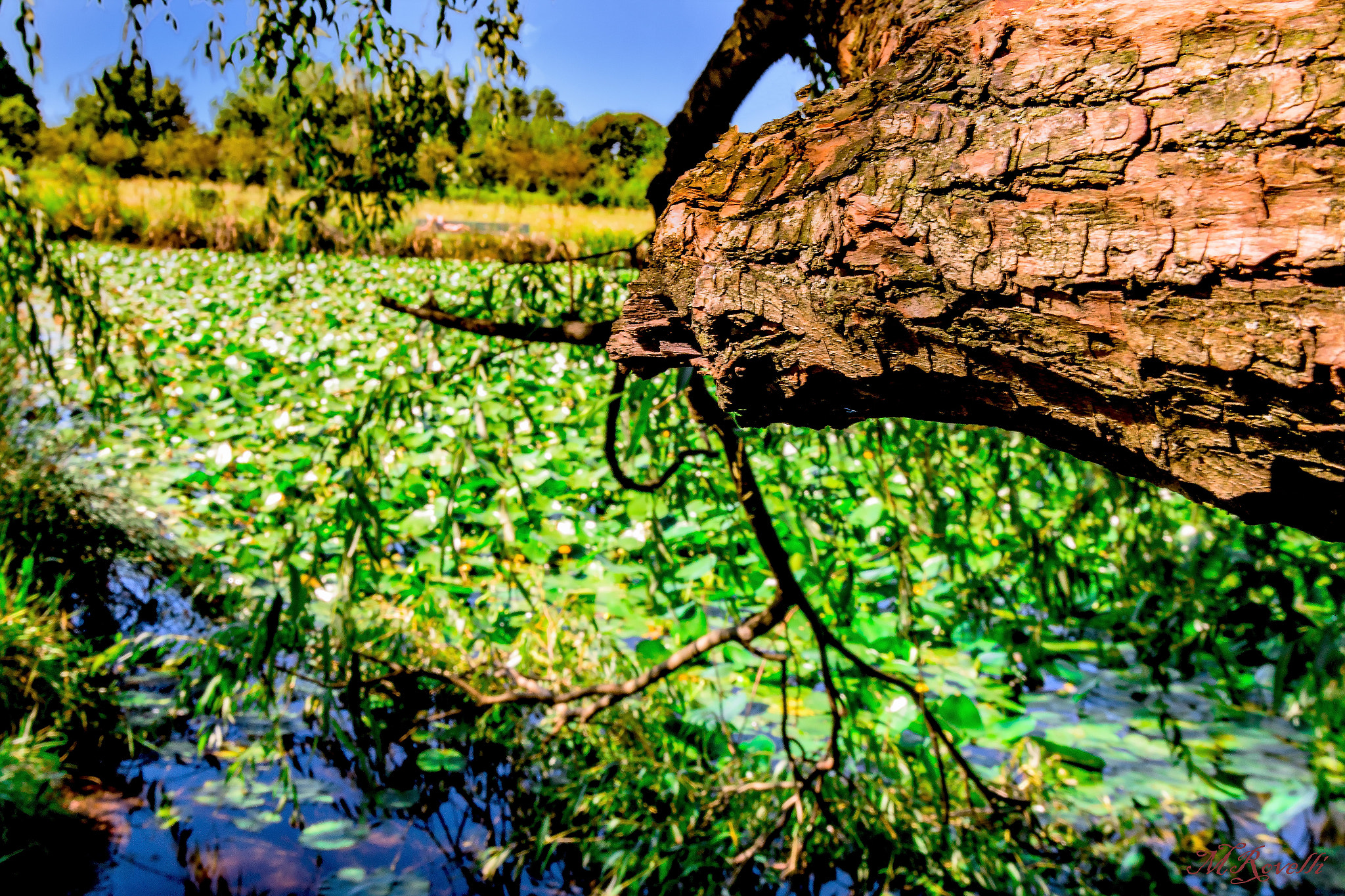 Samsung NX30 + Samsung NX 12-24mm F4-5.6 ED sample photo. _sam0008.jpg photography