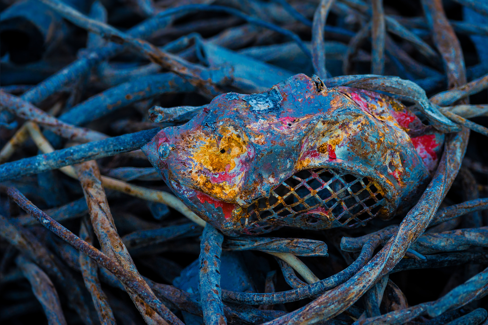 Sony 70-400mm F4-5.6 G SSM II sample photo. Scrap photography