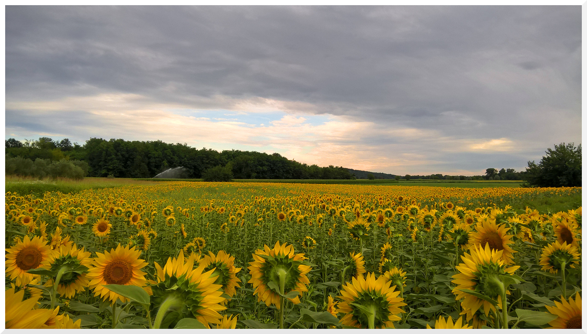Microsoft Lumia 640 XL sample photo. Walking in the countryside photography