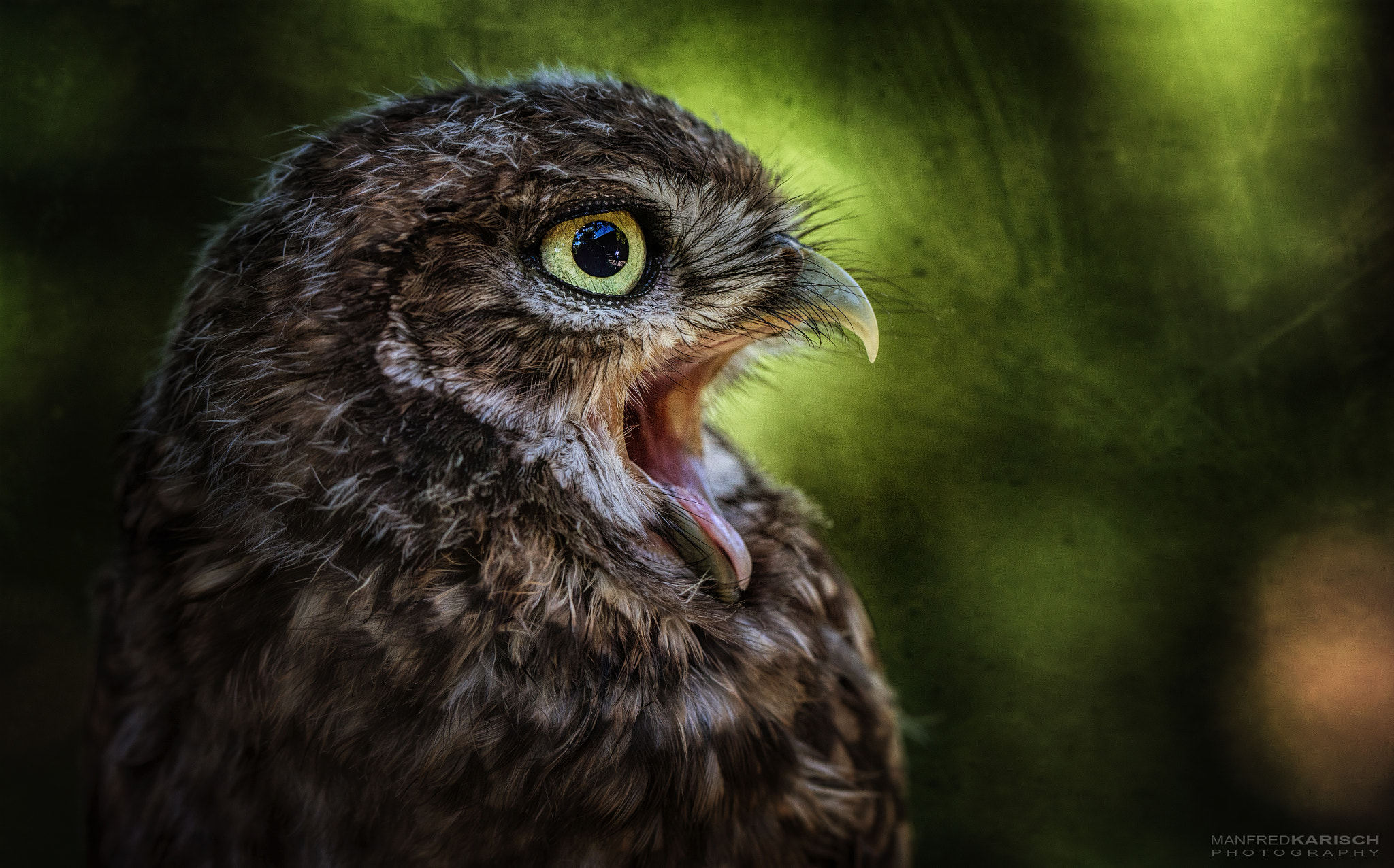 v2?sig=3889477264ffa65ec7a442e361102c91d7cd28b4dbac3109c3c1f22c4bebd131