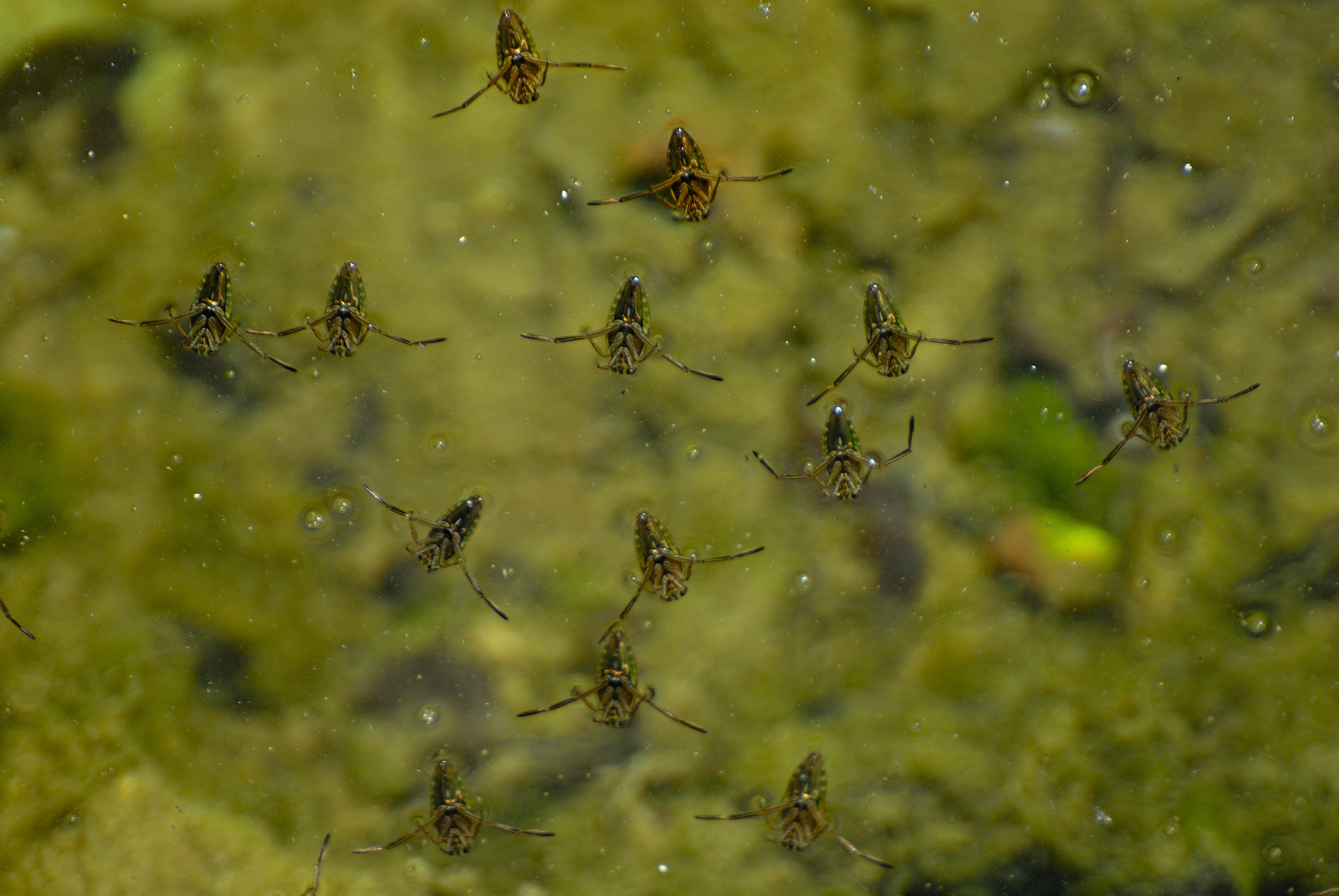 Nikon D200 sample photo. Aguas ocupadas photography