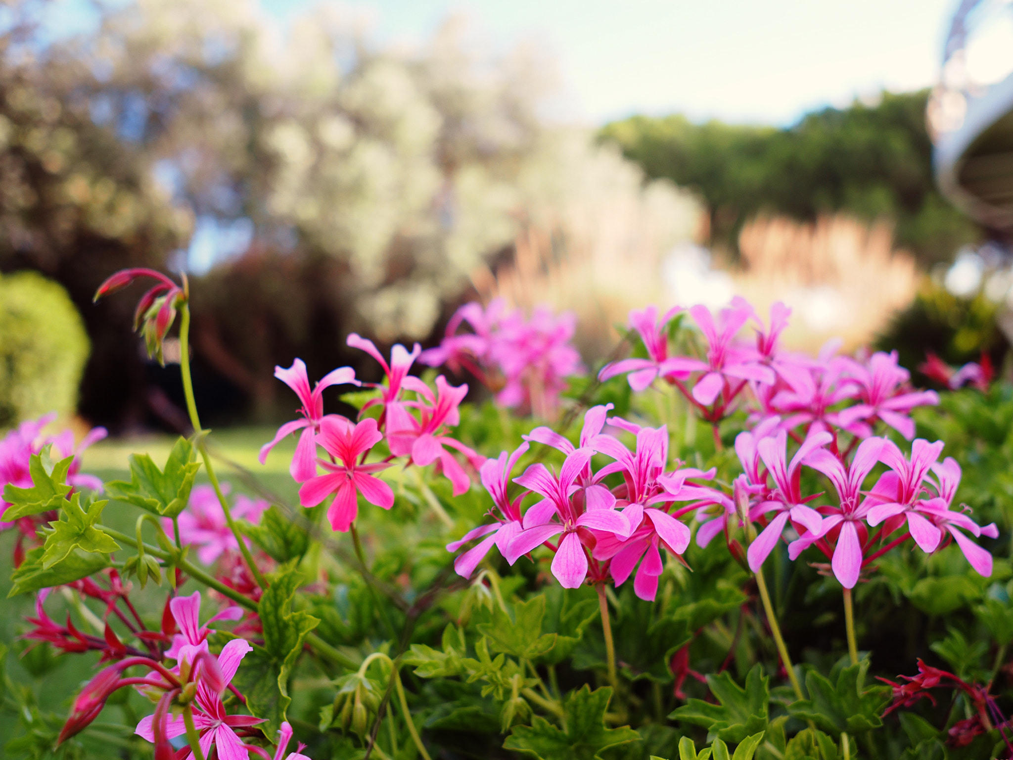 Sigma 19mm F2.8 DN Art sample photo. Olympus digital camera 1 photography