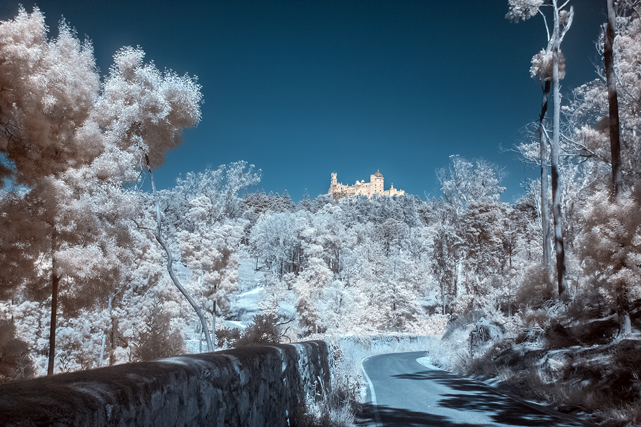 Canon EF-S 10-22mm F3.5-4.5 USM sample photo. Neve em sintra photography