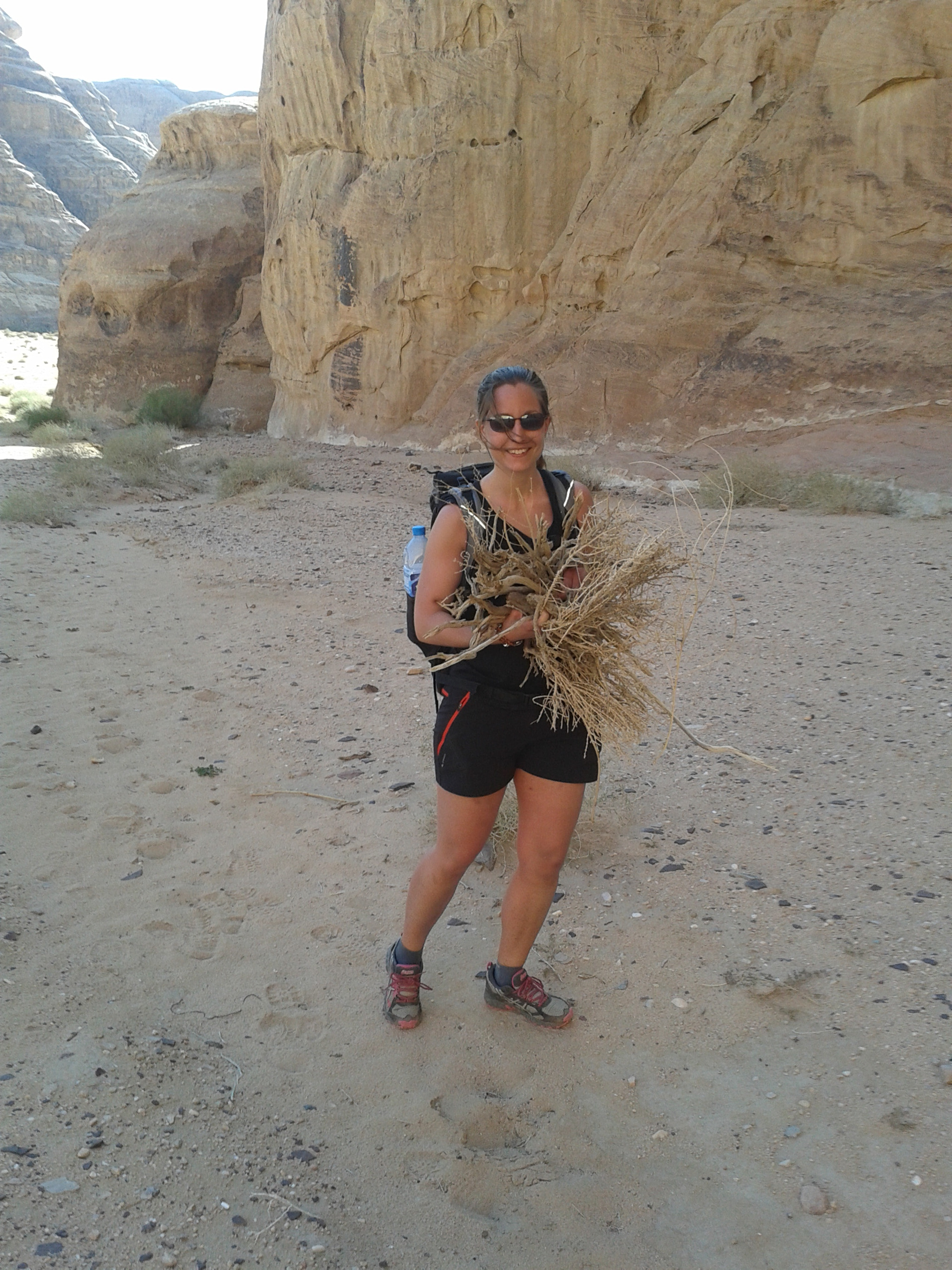 Samsung Galaxy Fame sample photo. Laure friendly from france while collecting firewood in the jordanian desert photography