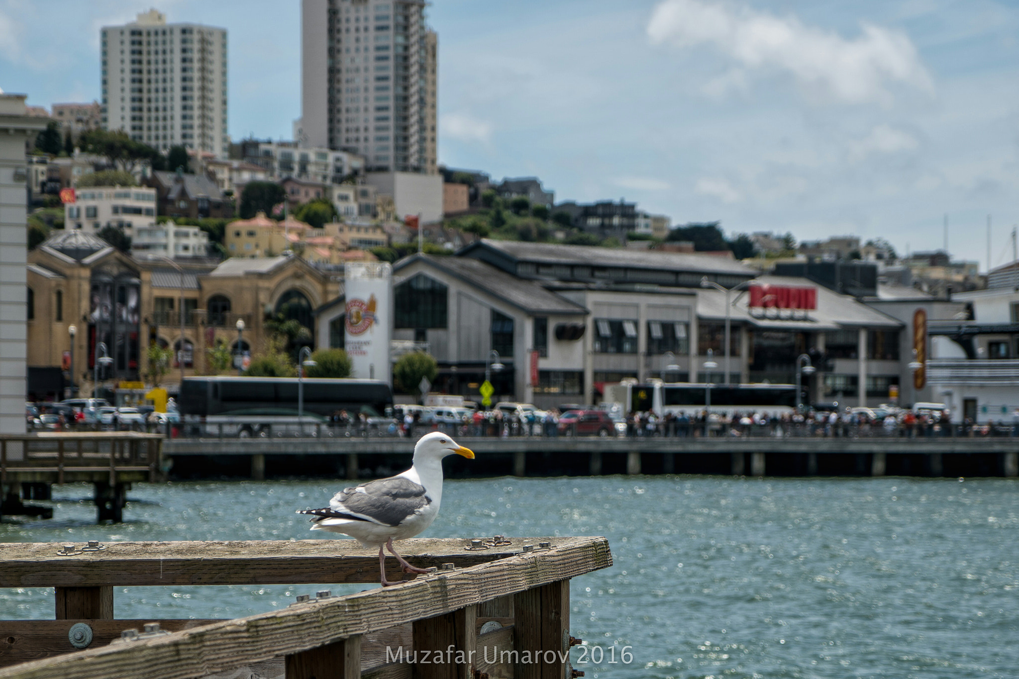 Sony a6300 + Sony Vario Tessar T* FE 24-70mm F4 ZA OSS sample photo. Enjoying city life photography