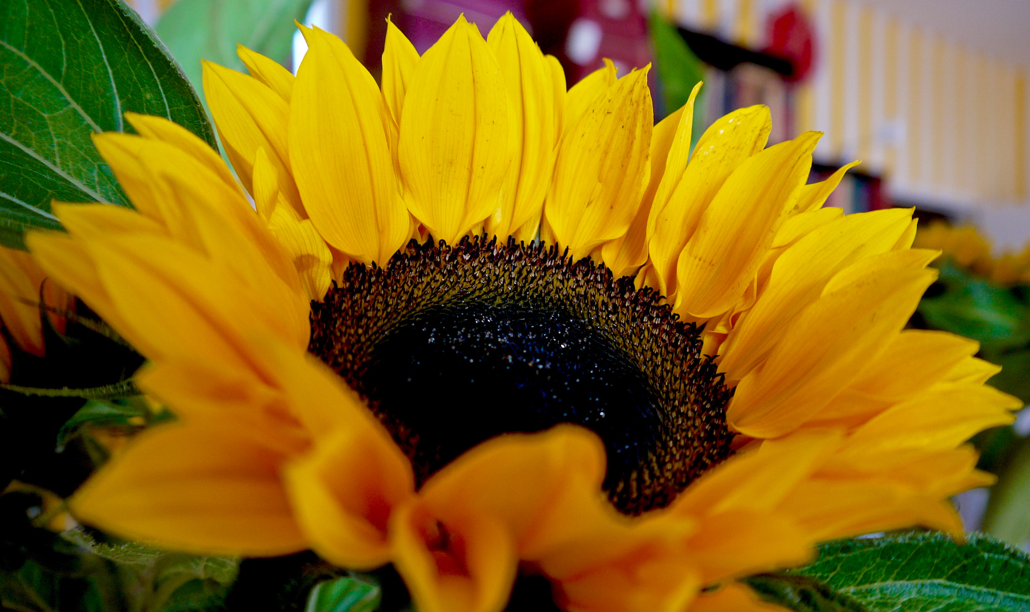 Panasonic Lumix DMC-G2 sample photo. Untitled photography