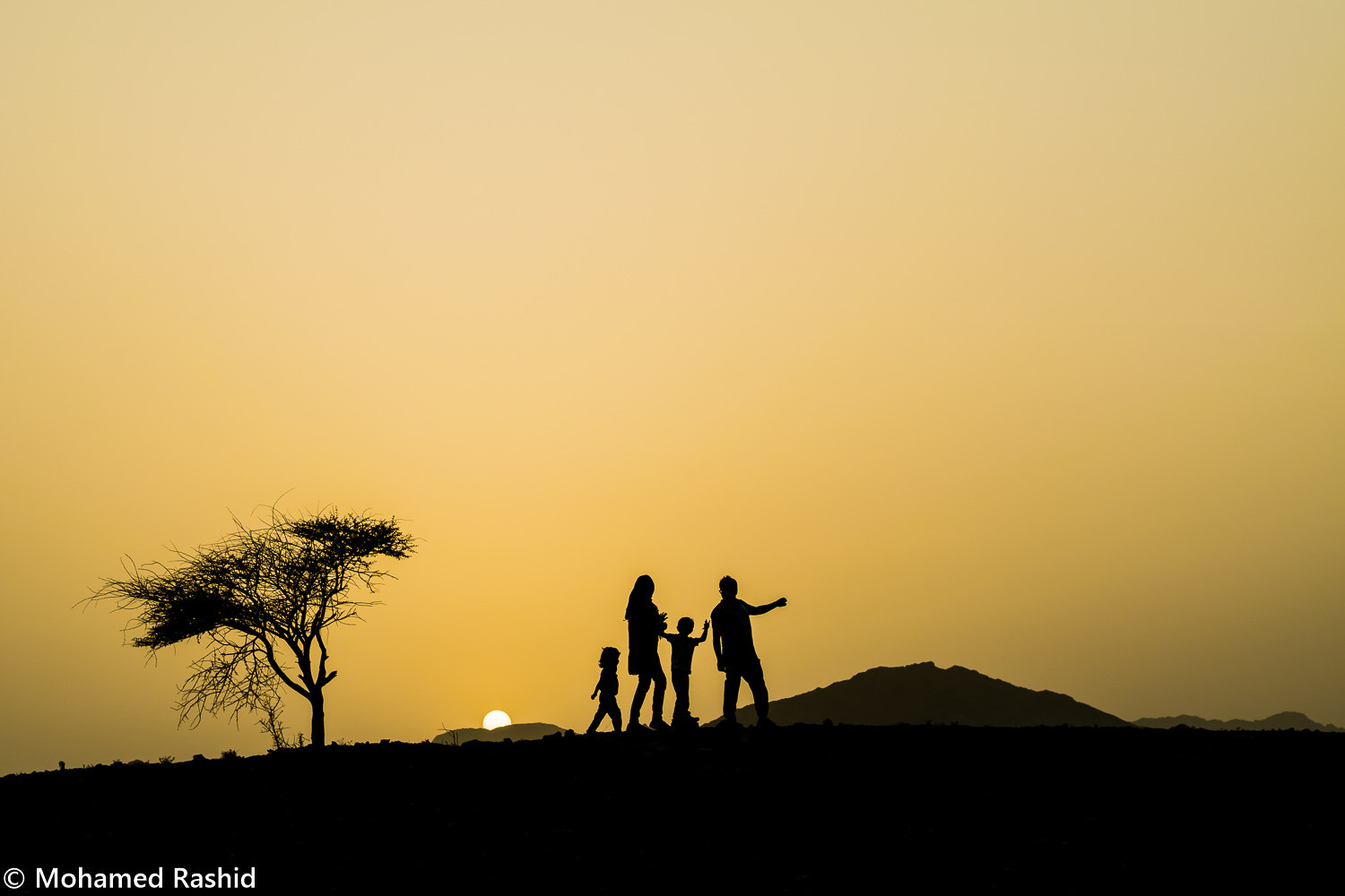 Nikon D5500 + Nikon AF-S Nikkor 50mm F1.4G sample photo. Touched by the sun photography