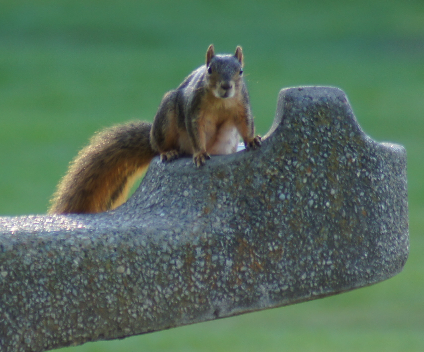 Sony 75-300mm F4.5-5.6 sample photo. 8076149294.jpg photography