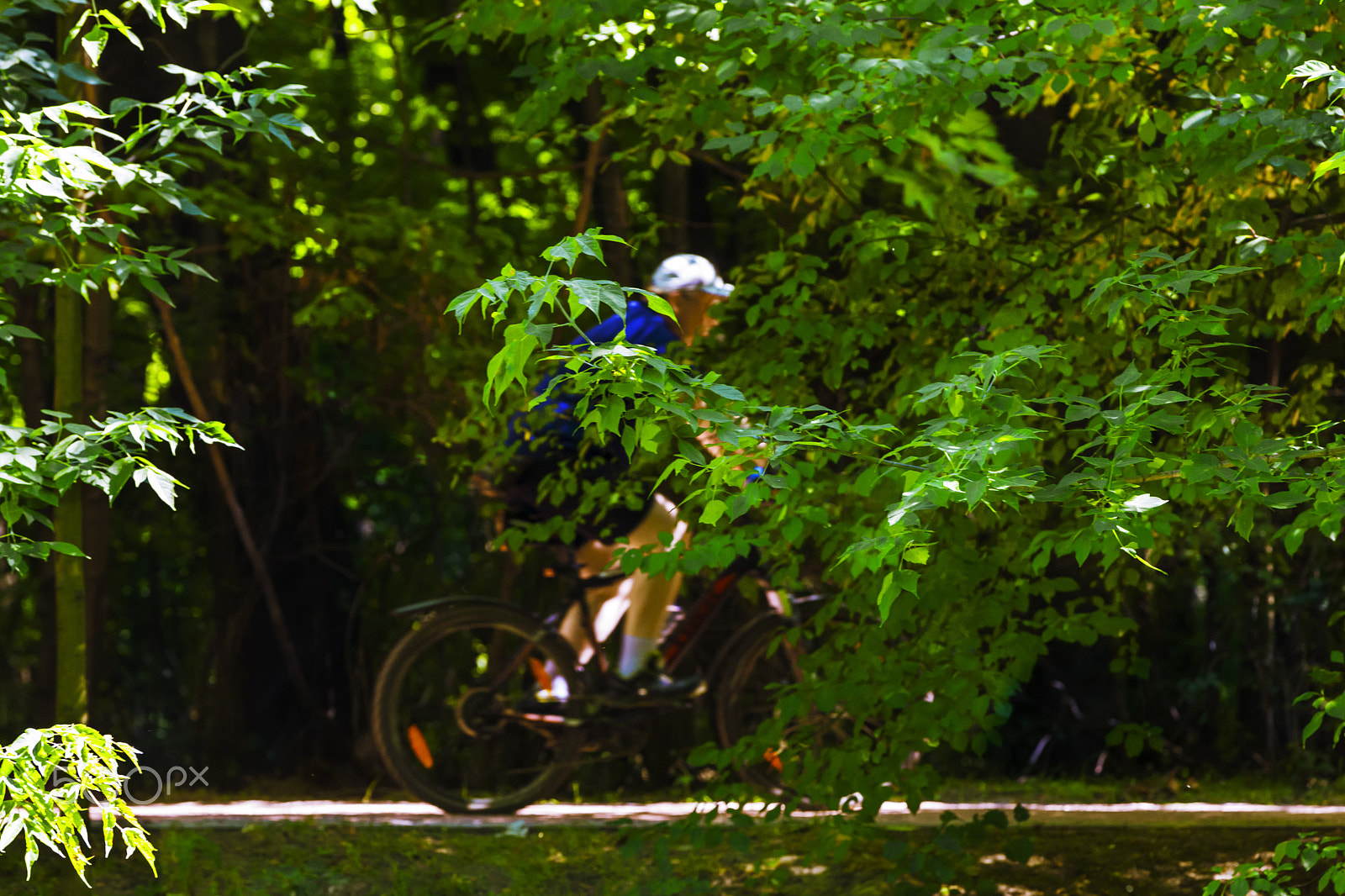 Canon EOS-1Ds Mark III + Canon EF 70-200mm F2.8L IS II USM sample photo. Bike in forest photography