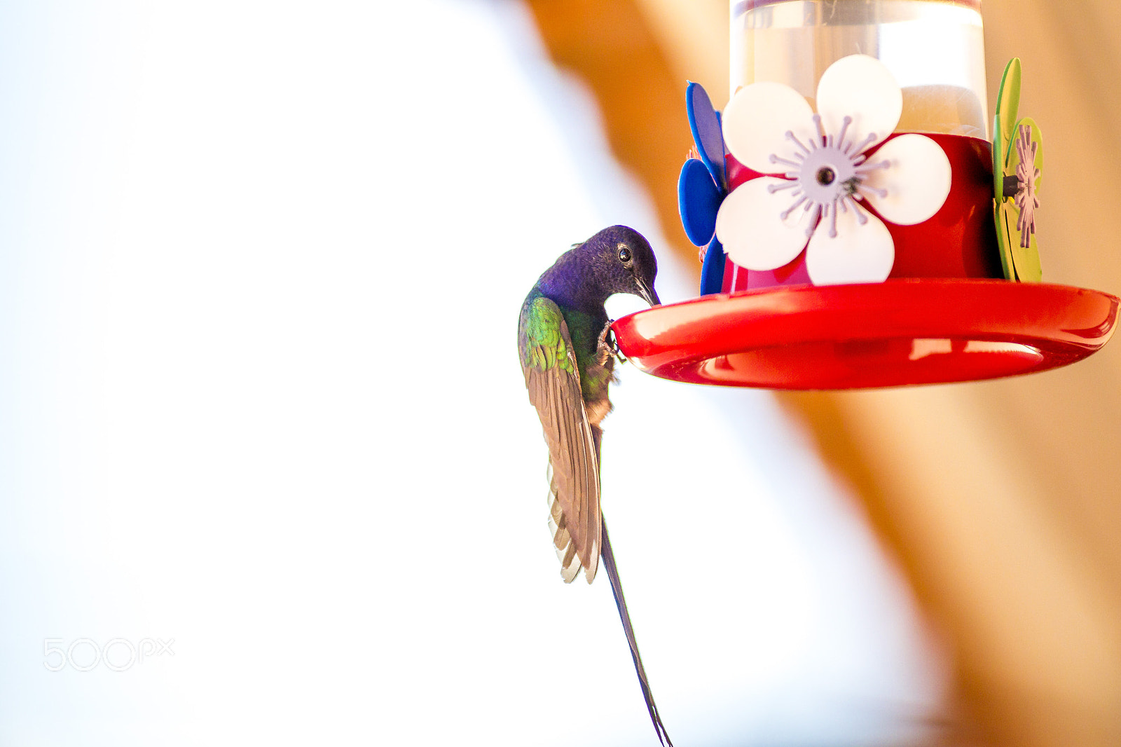 Canon EF 300mm f/2.8L sample photo. _d2e9532.jpg photography