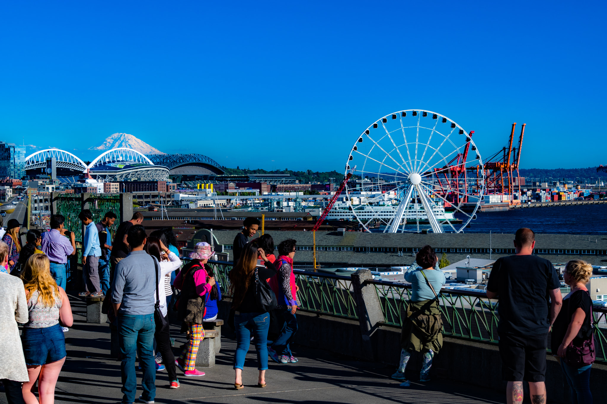 Nikon D500 sample photo. Seattle port view photography