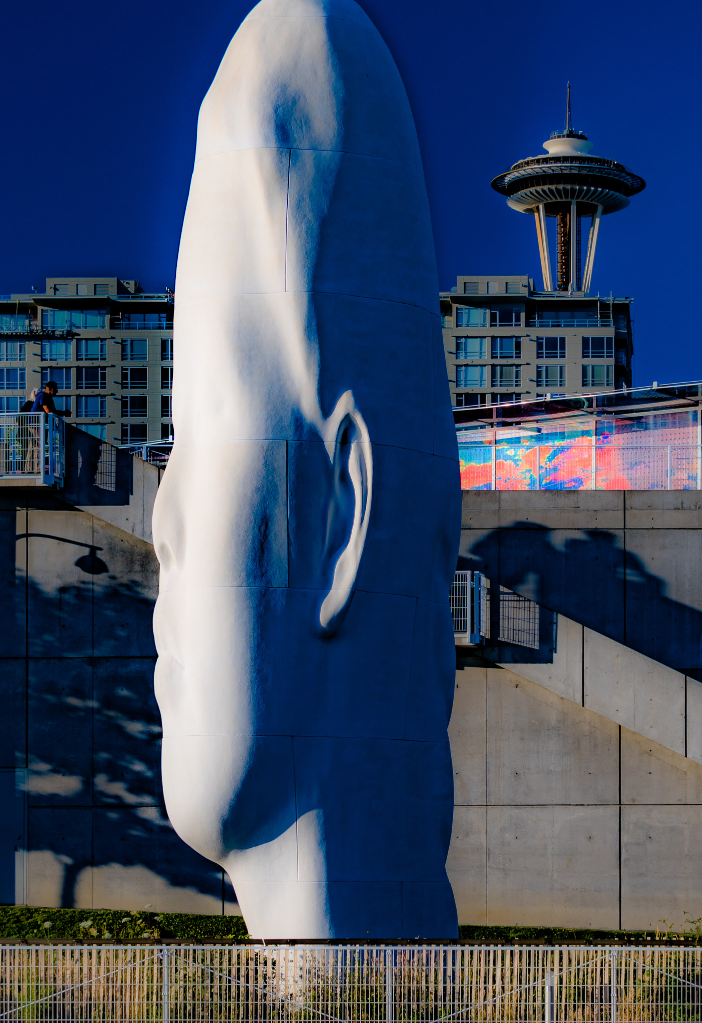 Nikon D500 sample photo. "echo" @ osp in seattle, side crop photography