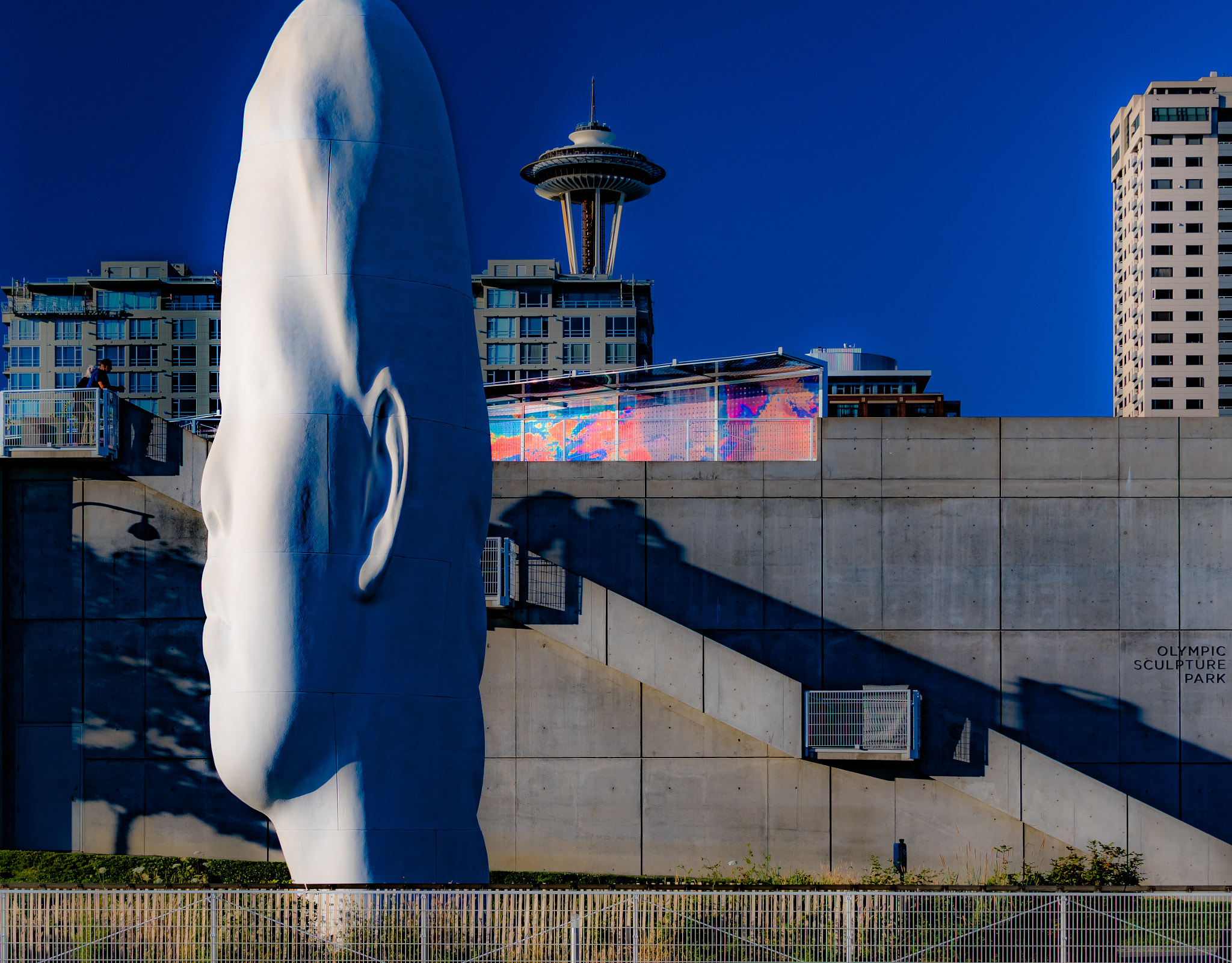 Nikon D500 sample photo. "echo" @ osp in seattle, side view photography