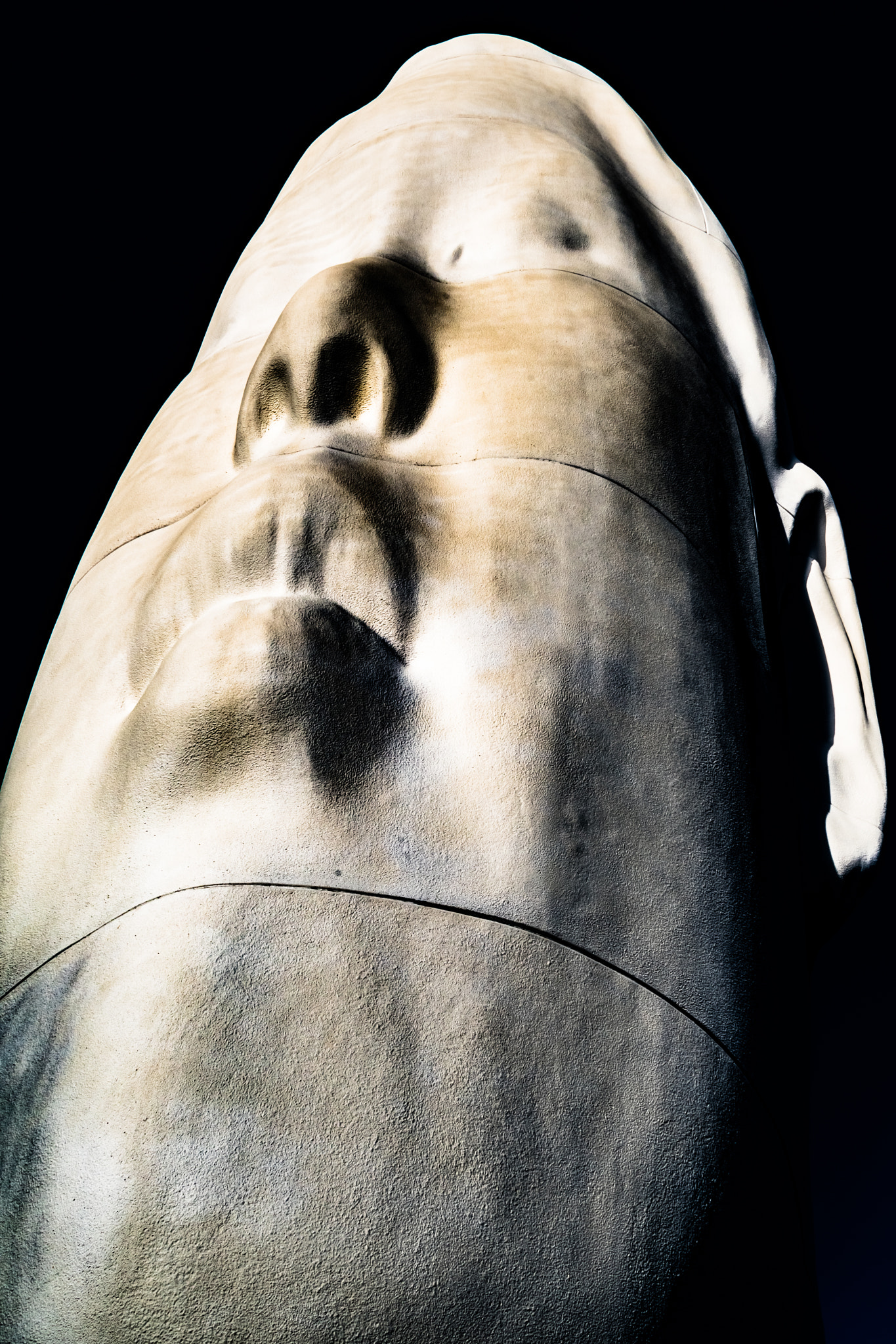 Nikon D500 sample photo. "echo" @ osp in seattle #2 photography