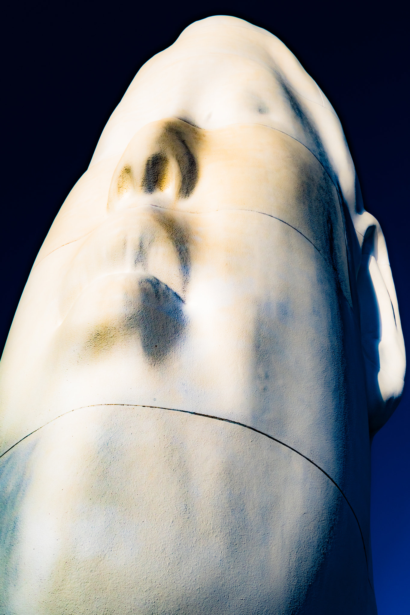 Nikon D500 sample photo. "echo" @ osp in seattle photography