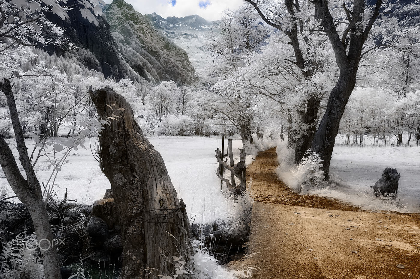 Nikon D70s sample photo. Serie " val di mello" photography