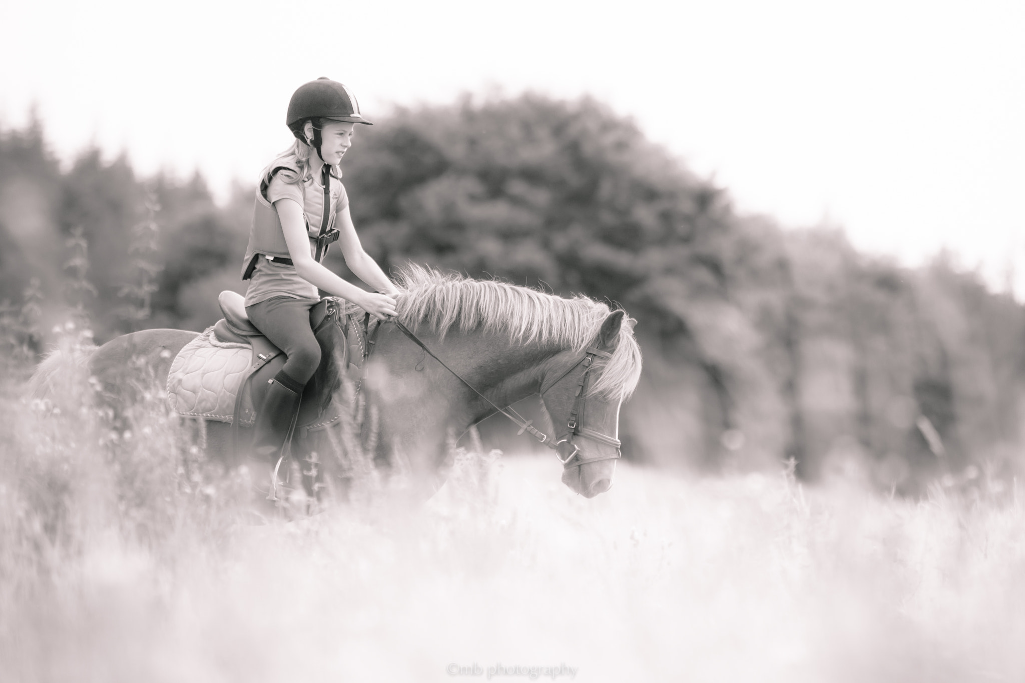 Sigma 70-200mm F2.8 EX DG OS HSM sample photo. Whisper photography