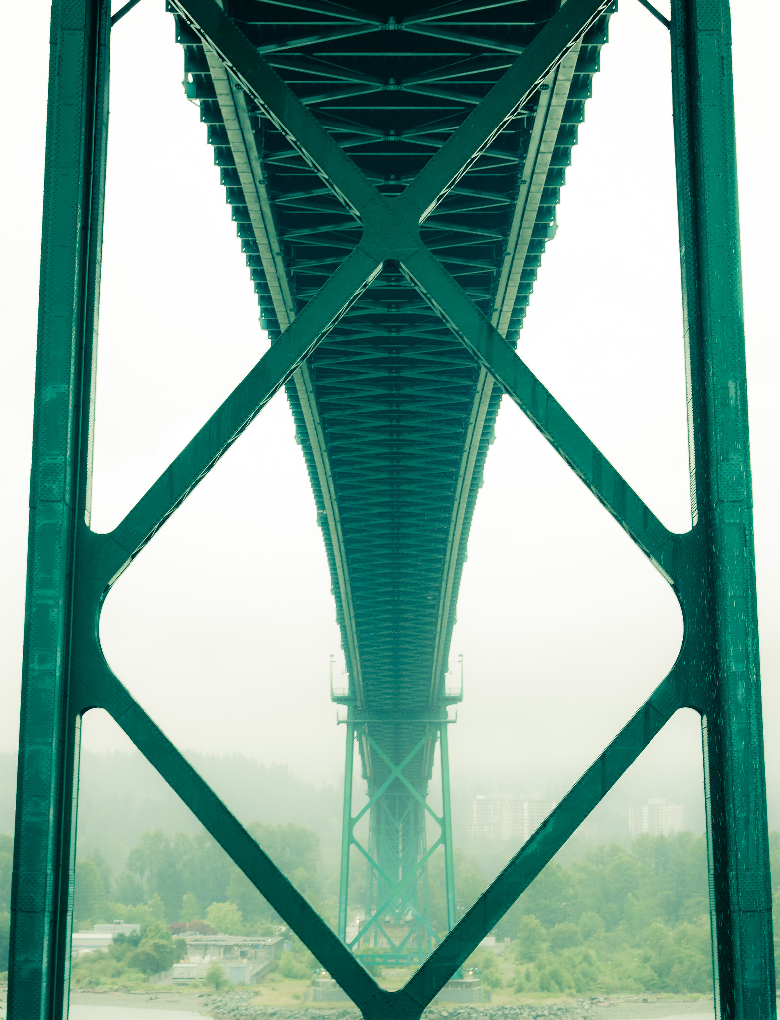 Canon EOS 760D (EOS Rebel T6s / EOS 8000D) + Canon EF 50mm F1.8 II sample photo. Bridge to nowhere photography