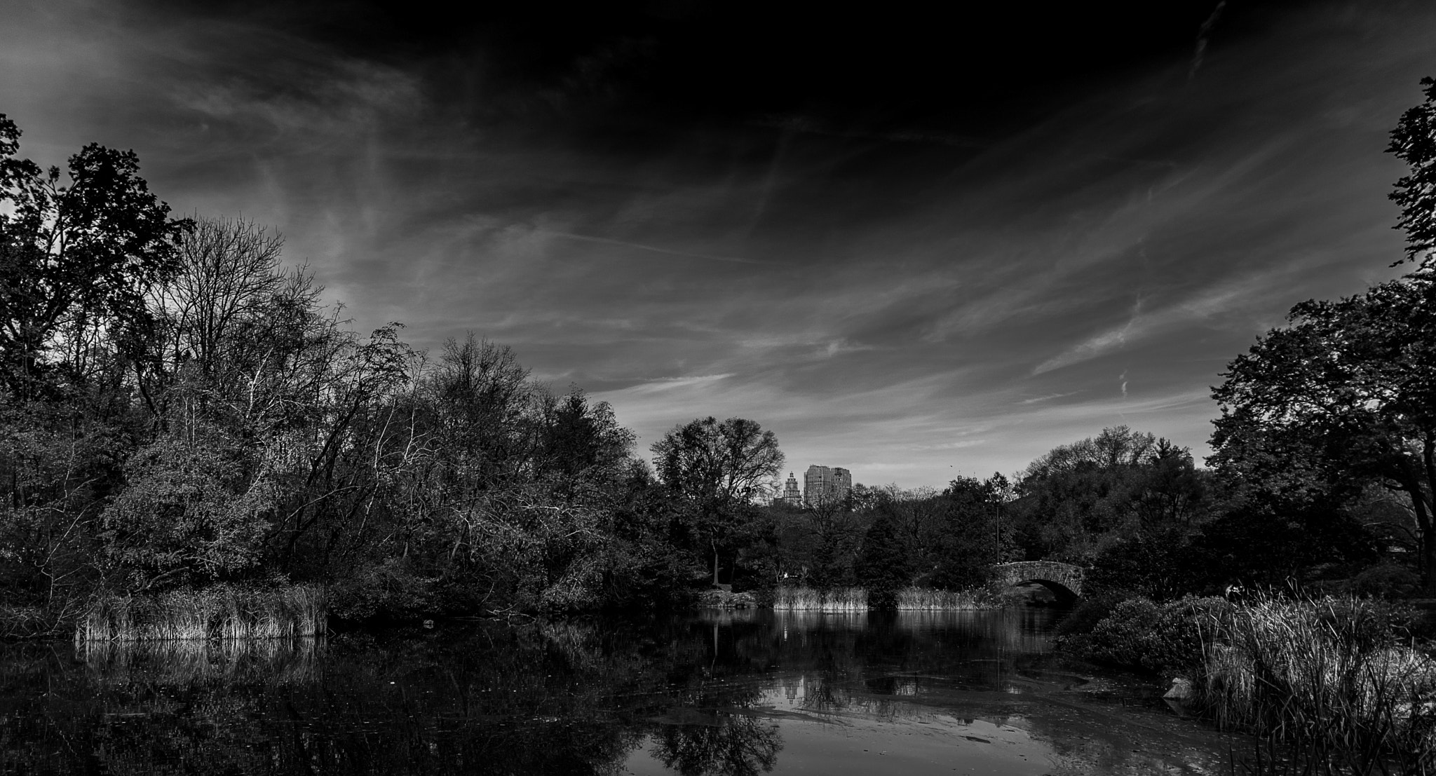 Sigma 18-250mm F3.5-6.3 DC OS HSM sample photo. Ny#44 photography