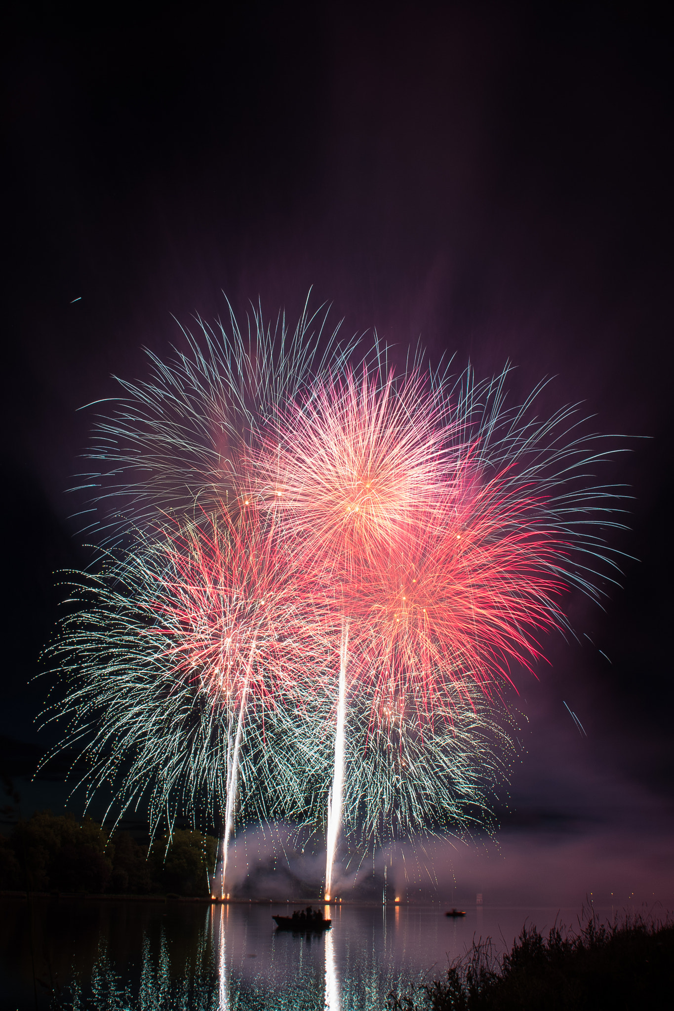 Nikon D500 sample photo. Fireworks - 3 photography