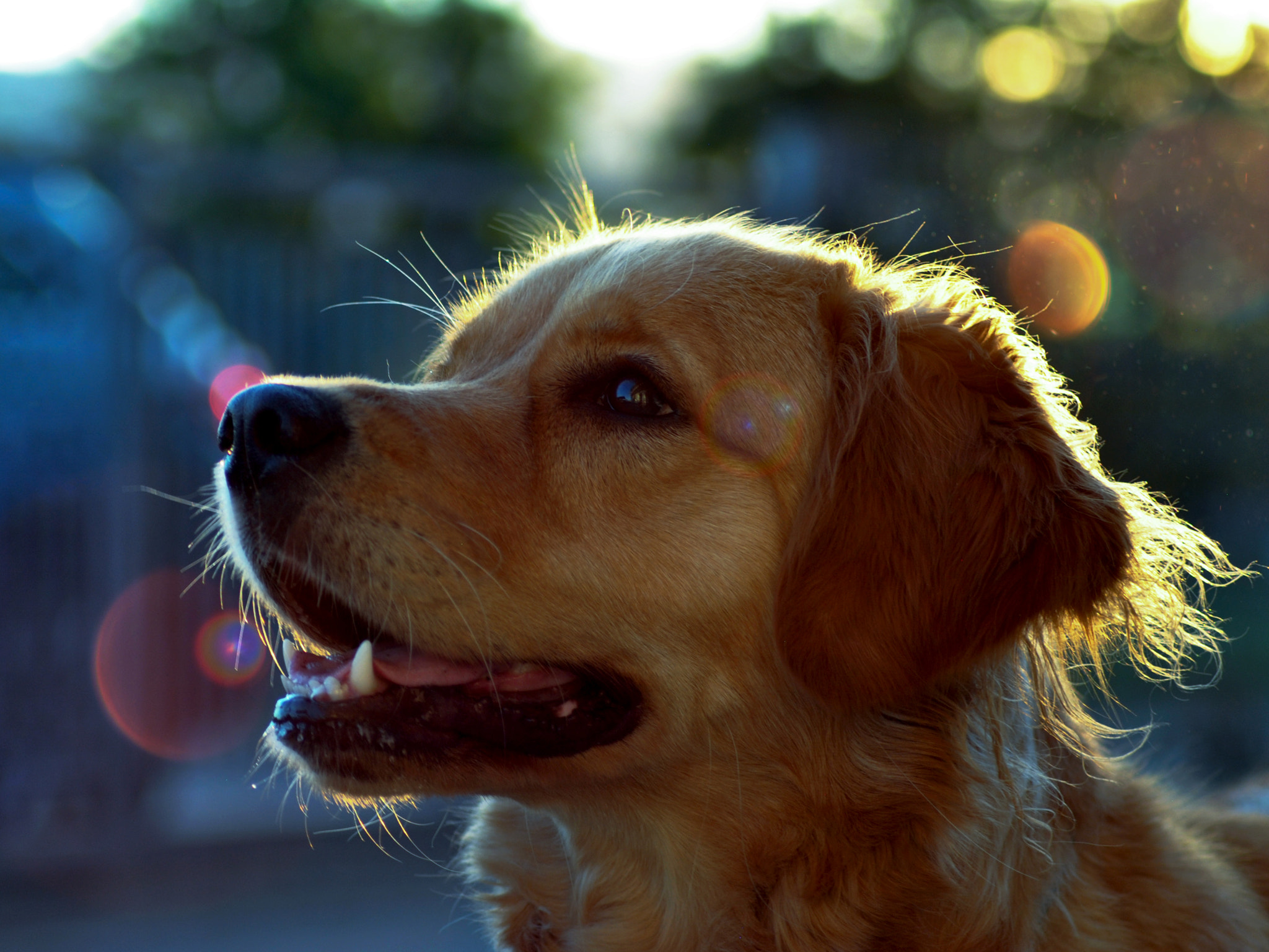 Nikon D3000 sample photo. Thinking out loud! don't stop your dream and imagination photography