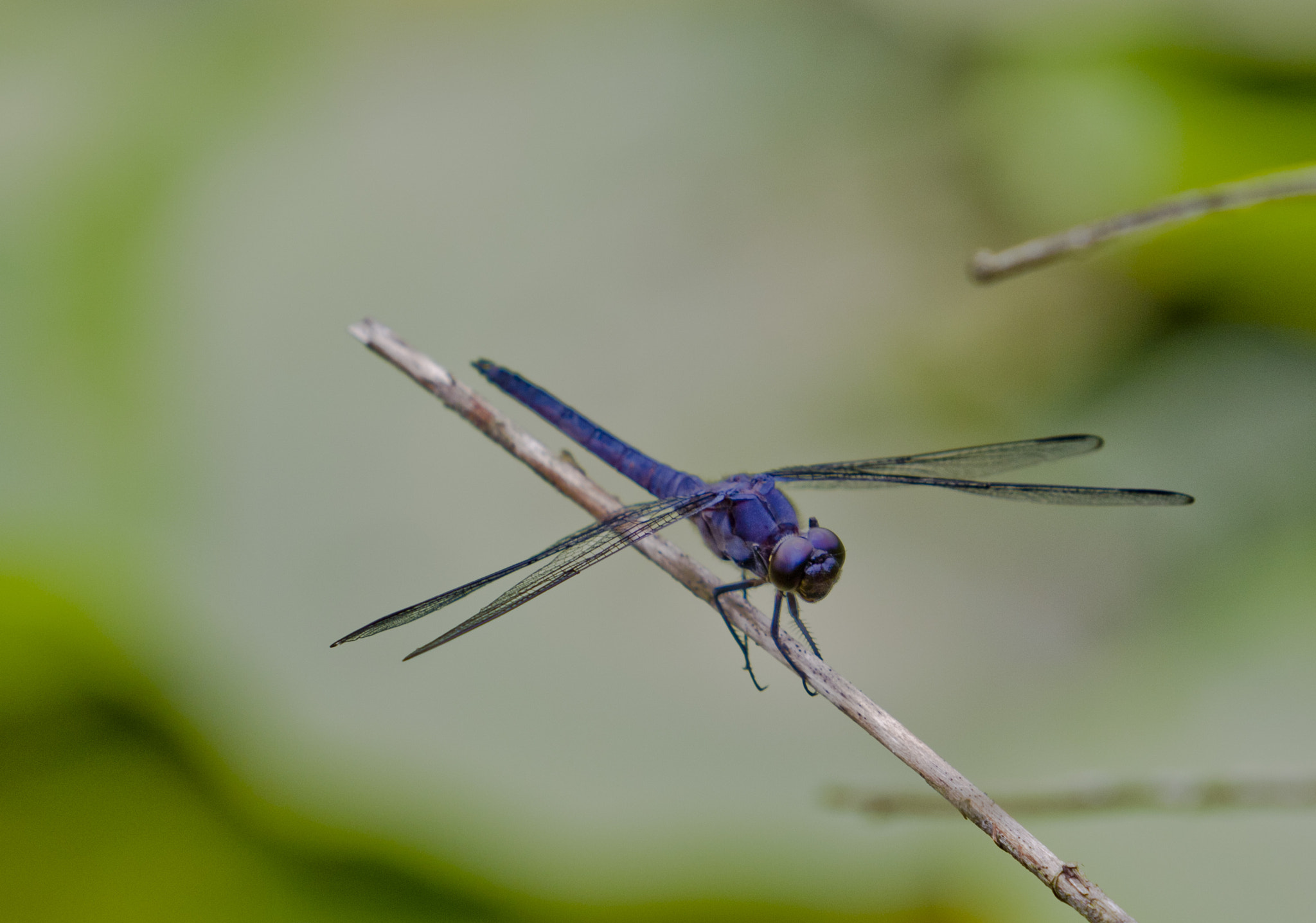 Canon EF 70-200mm F2.8L USM sample photo. 27745888642.jpg photography