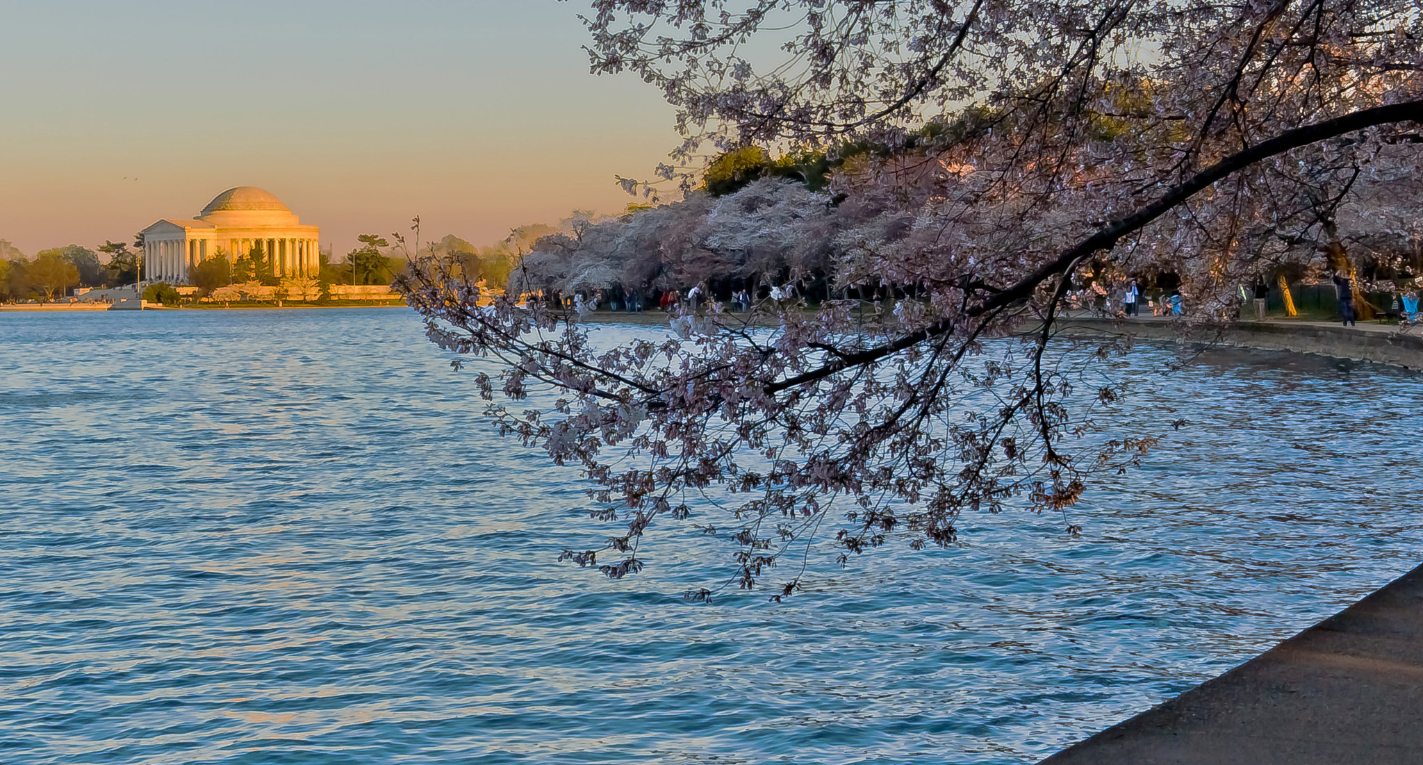 Canon EF-S 24mm F2.8 STM sample photo. 26161142566.jpg photography