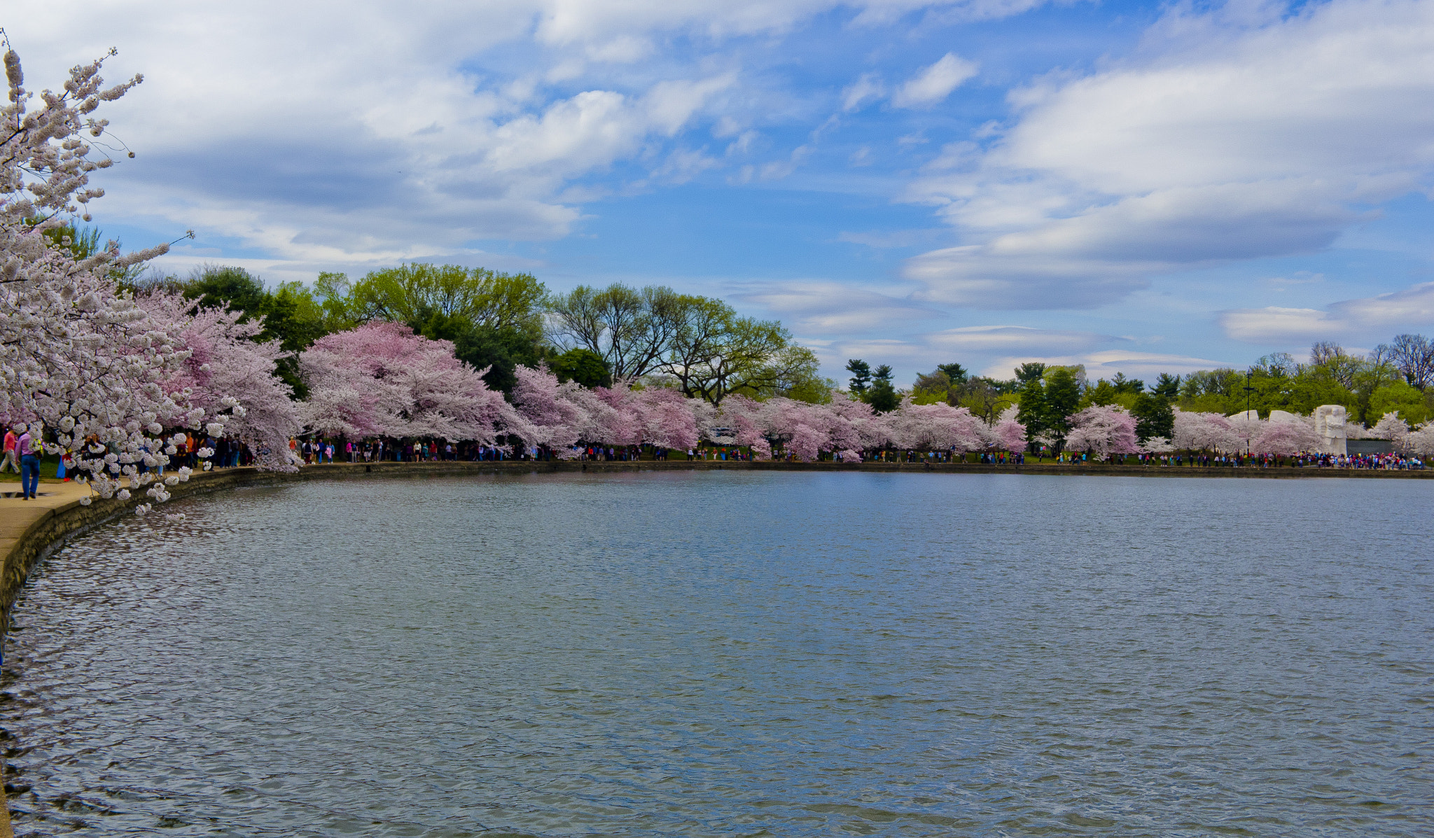 Canon EF-S 24mm F2.8 STM sample photo. 25943412532.jpg photography