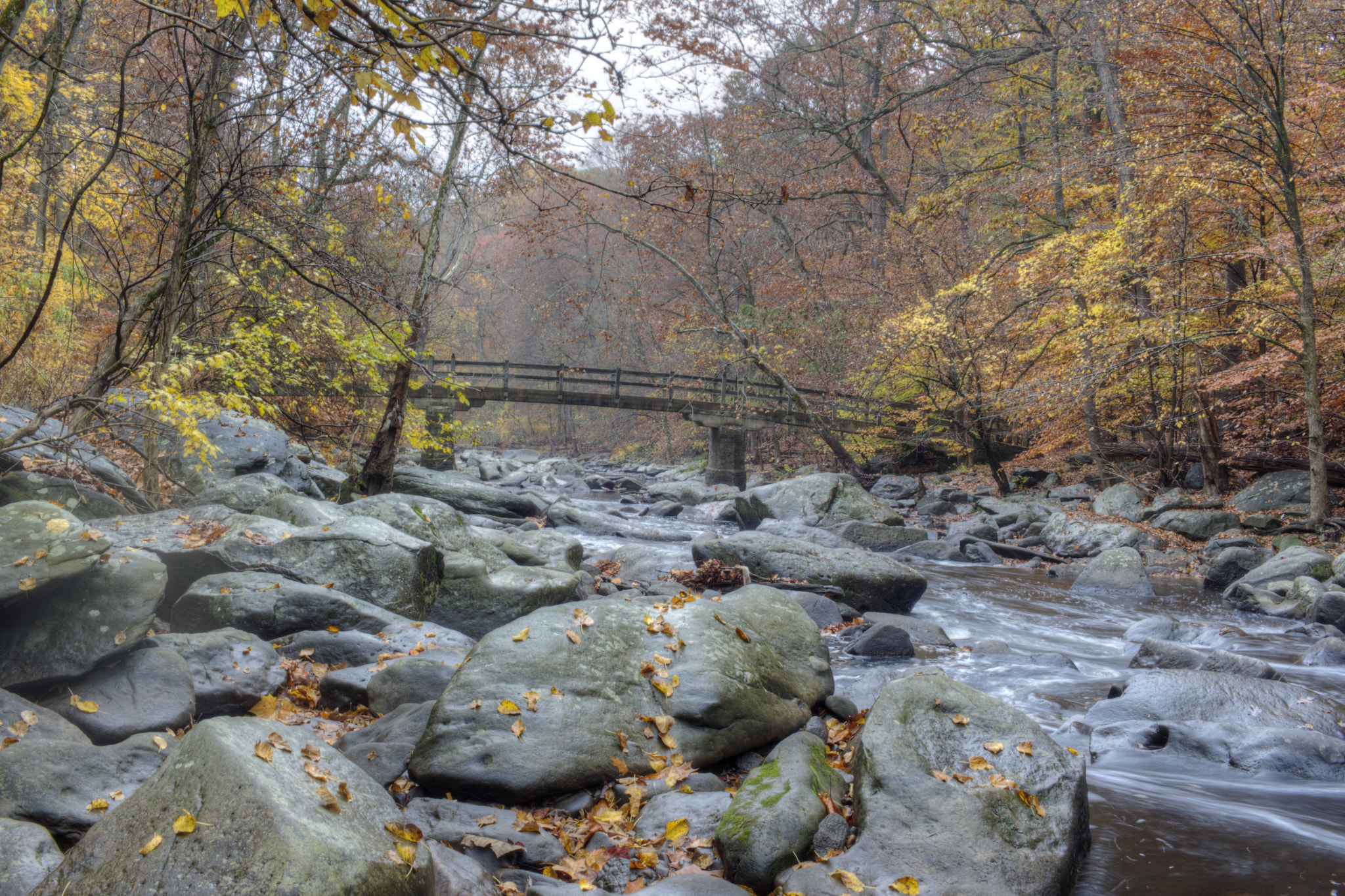 Canon EF-S 24mm F2.8 STM sample photo. 25774700641.jpg photography