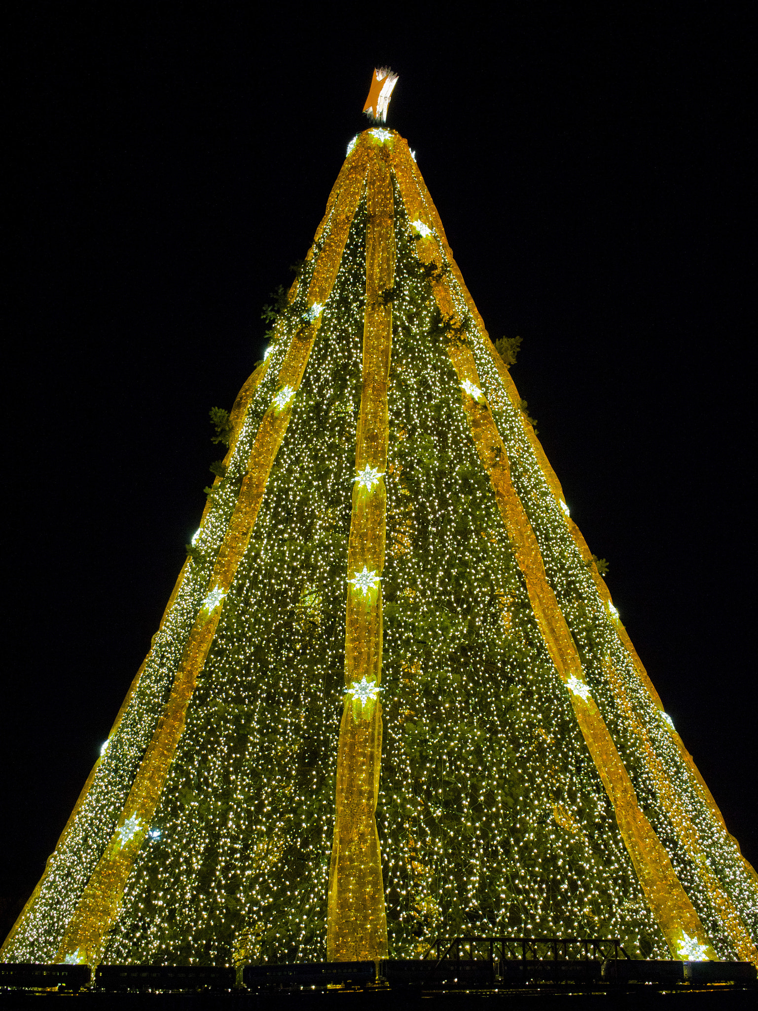 Canon EF-S 24mm F2.8 STM sample photo. 23884081711.jpg photography