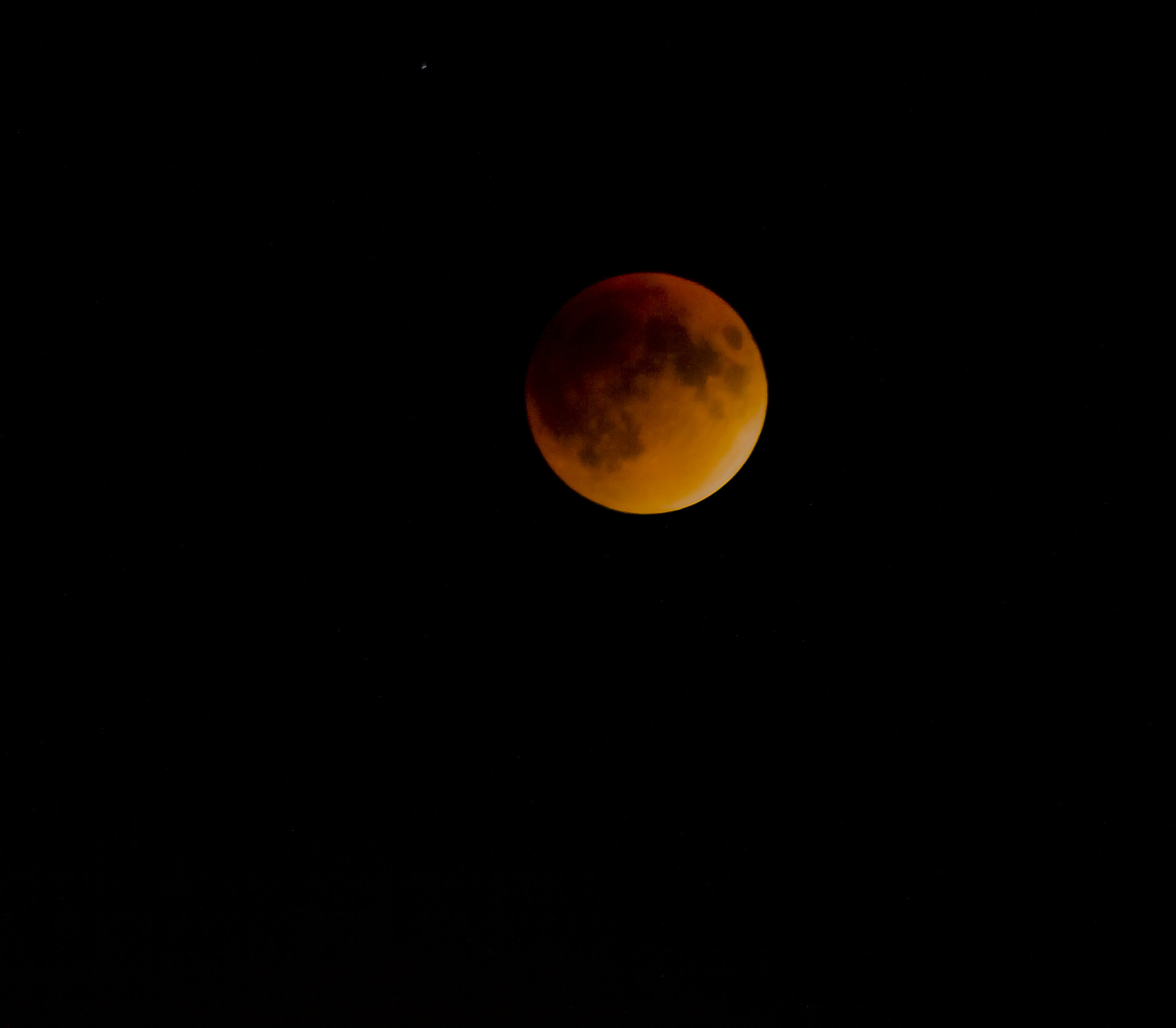 Sigma 70-300mm F4-5.6 APO DG Macro sample photo. 22398121417.jpg photography