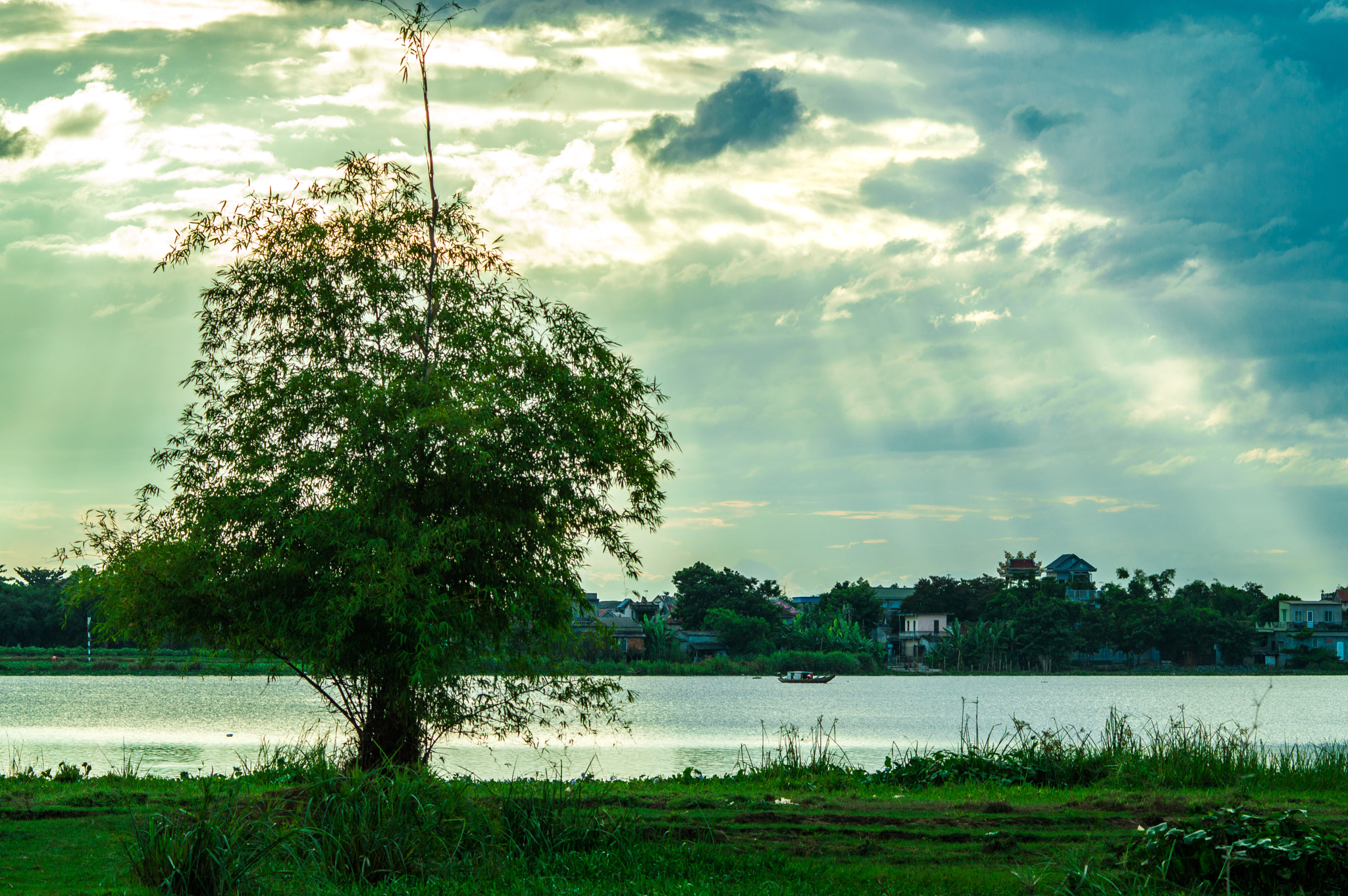 Nikon D3200 + AF Zoom-Nikkor 70-210mm f/4 sample photo. Sau cơ mưa photography