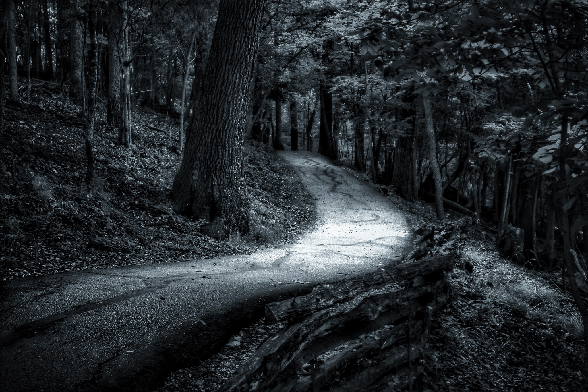 Tamron AF 28-200mm F3.8-5.6 XR Di Aspherical (IF) Macro sample photo. A trail well traveled ... photography