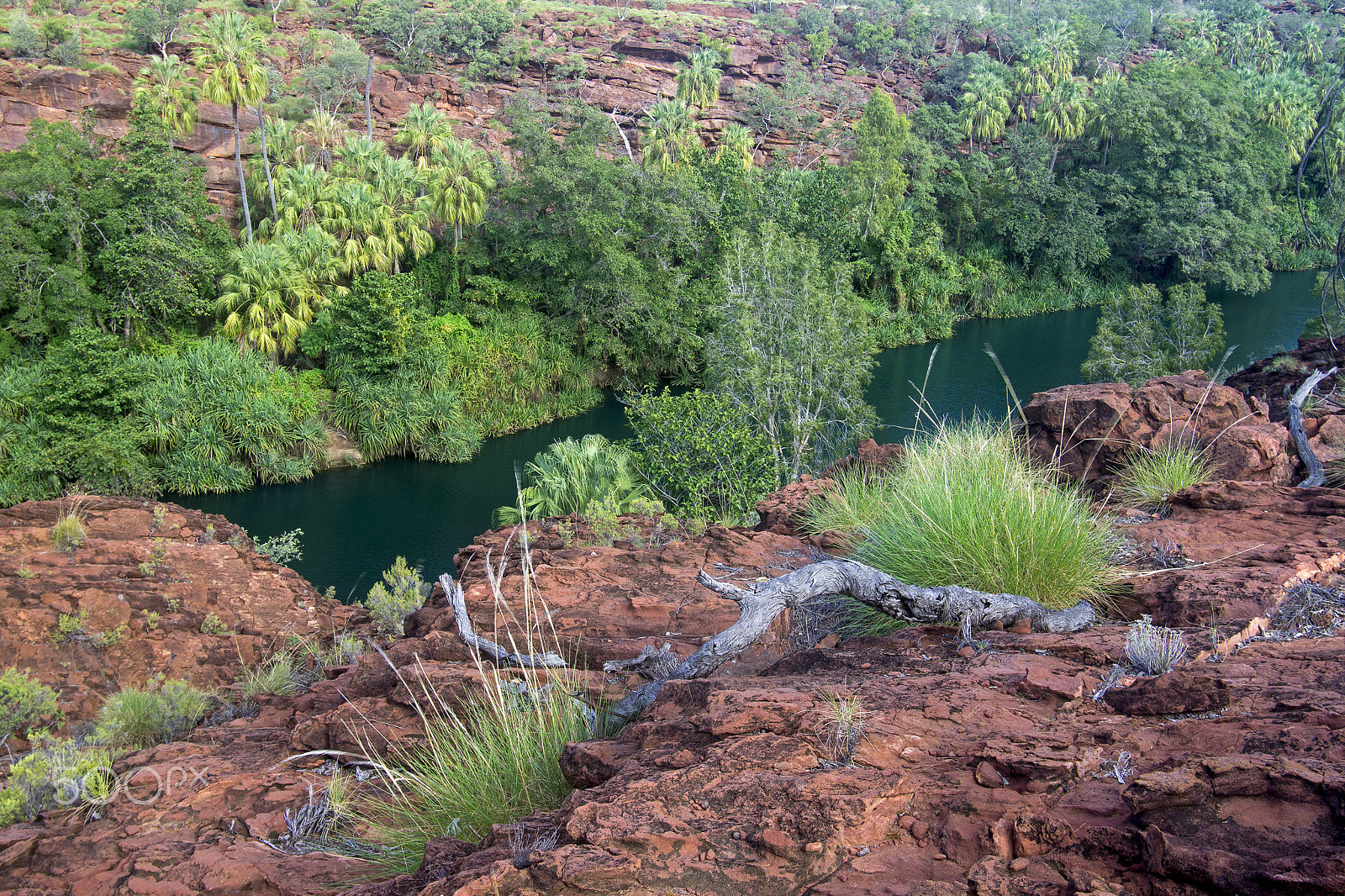 Sony a6000 + Minolta AF 17-35mm F2.8-4 (D) sample photo. Above lawn hill gorge photography
