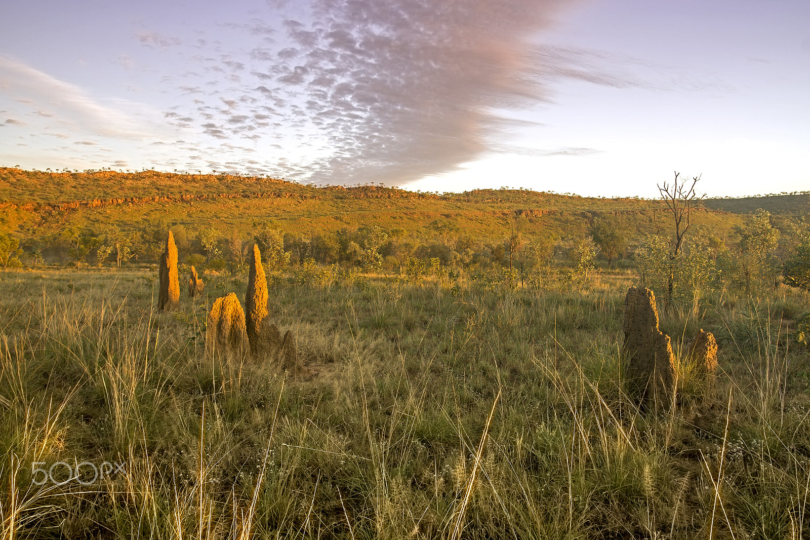 Sony a6000 + Minolta AF 17-35mm F2.8-4 (D) sample photo. Sunrise on termite mounds in outback queensland photography