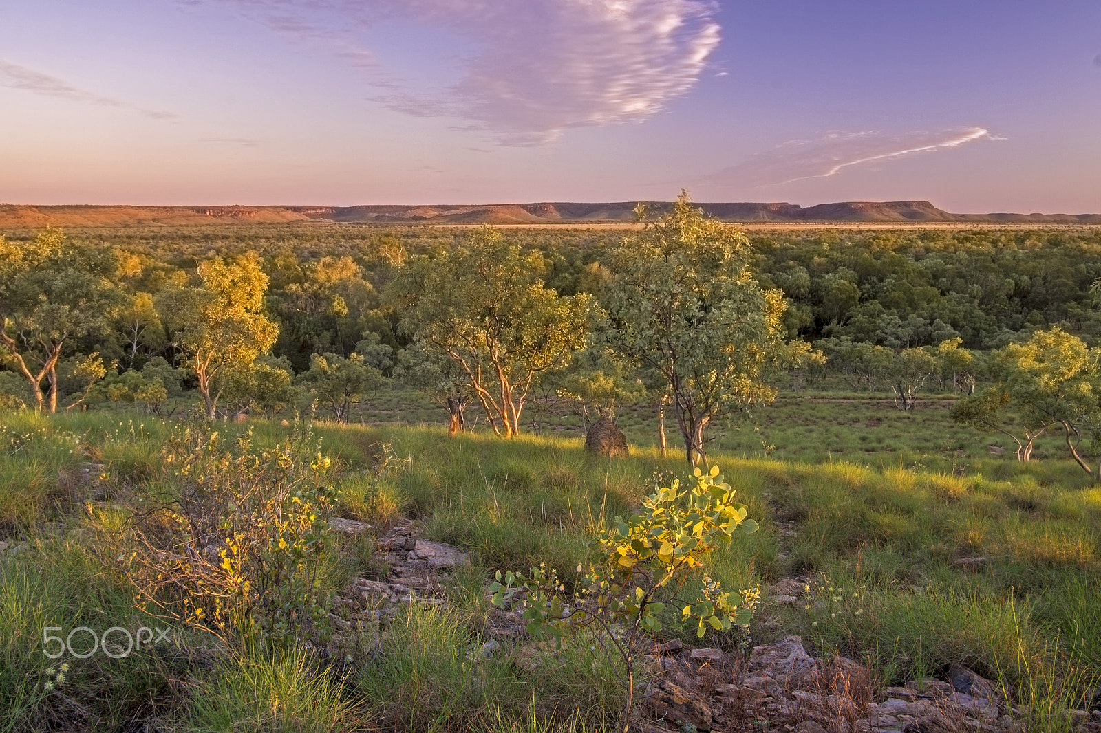 Sony a6000 + Minolta AF 17-35mm F2.8-4 (D) sample photo. Sunrise from adel hill photography