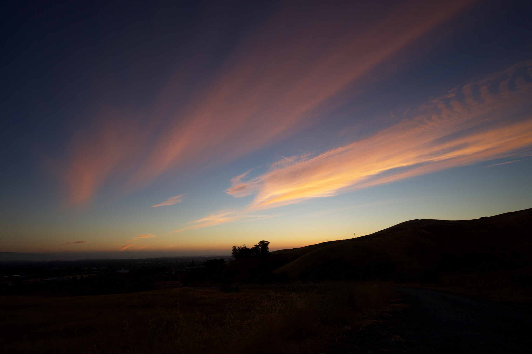 Sony Vario-Tessar T* FE 16-35mm F4 ZA OSS sample photo. Paintbrush in the sky photography