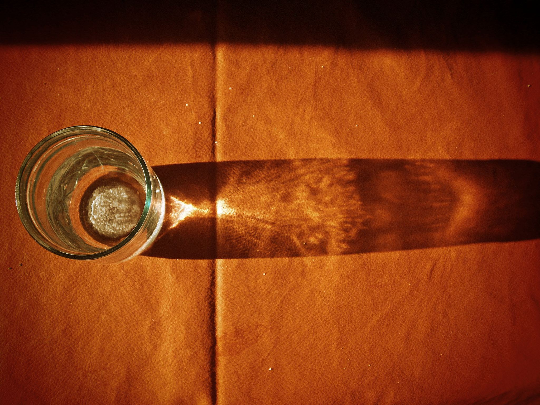 Olympus FE4020,X940 sample photo. Tree into a glass of water photography
