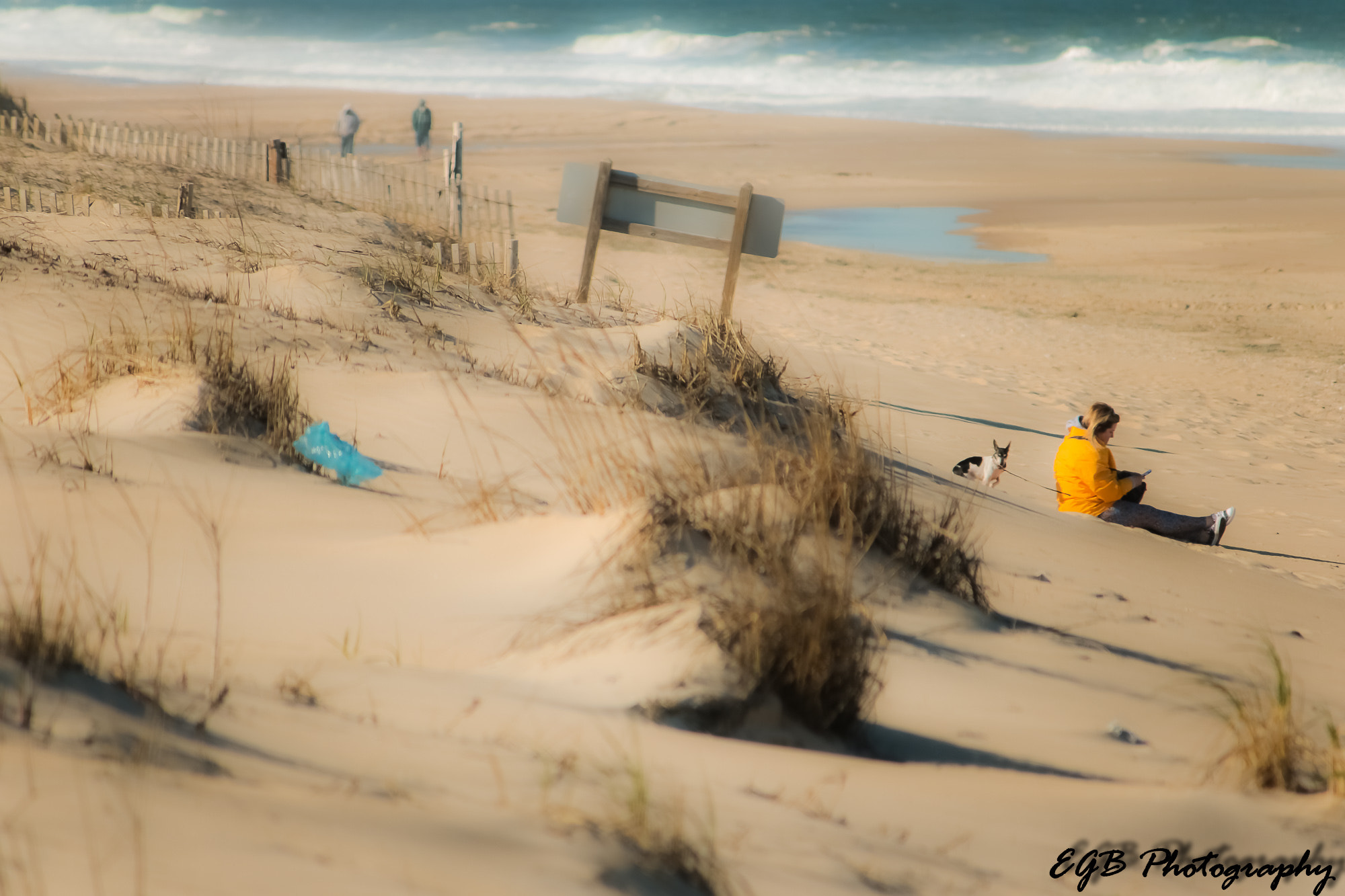 Canon EF-S 55-250mm F4-5.6 IS sample photo. A relaxing day photography