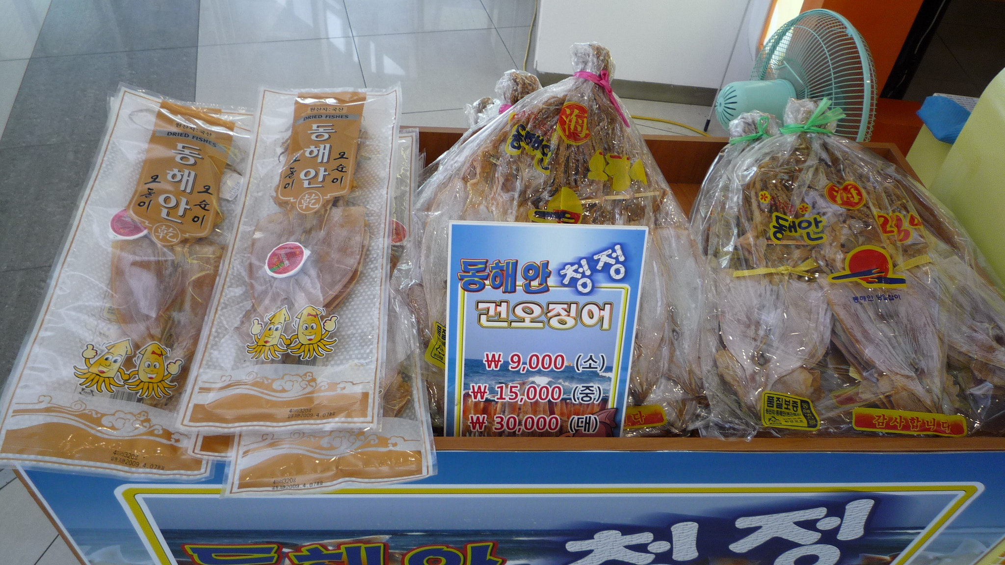 Panasonic DMC-FX520 sample photo. Dried squid - south korea photography