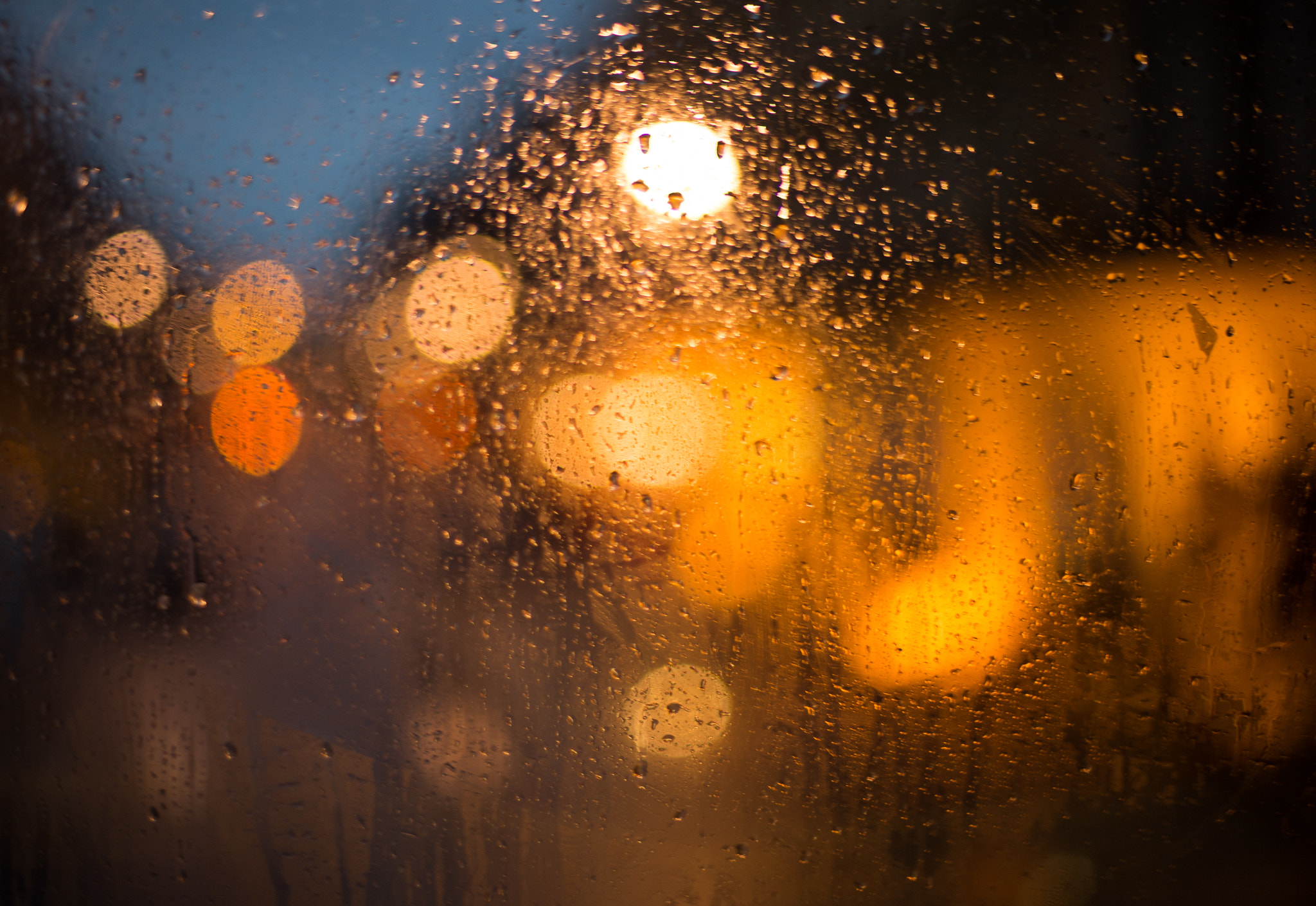 Nikon Df + Nikon AF-S Nikkor 50mm F1.4G sample photo. Through the window of number 98 bus photography