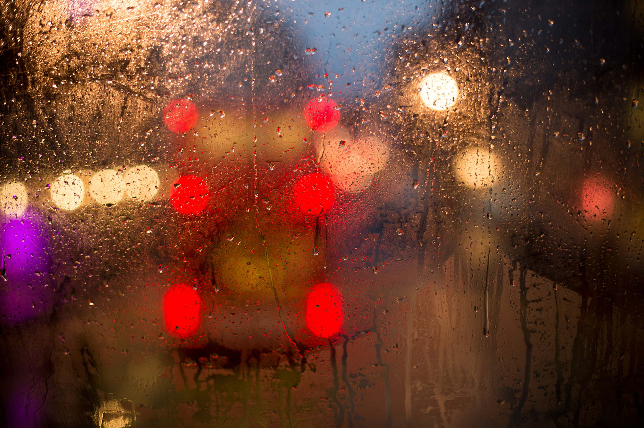 Nikon Df + Nikon AF-S Nikkor 50mm F1.4G sample photo. Through the window of number 98 bus photography