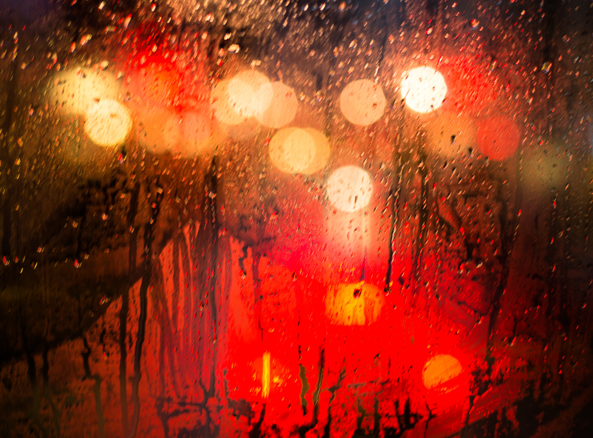 Nikon Df + Nikon AF-S Nikkor 50mm F1.4G sample photo. Through the window of number 98 bus photography