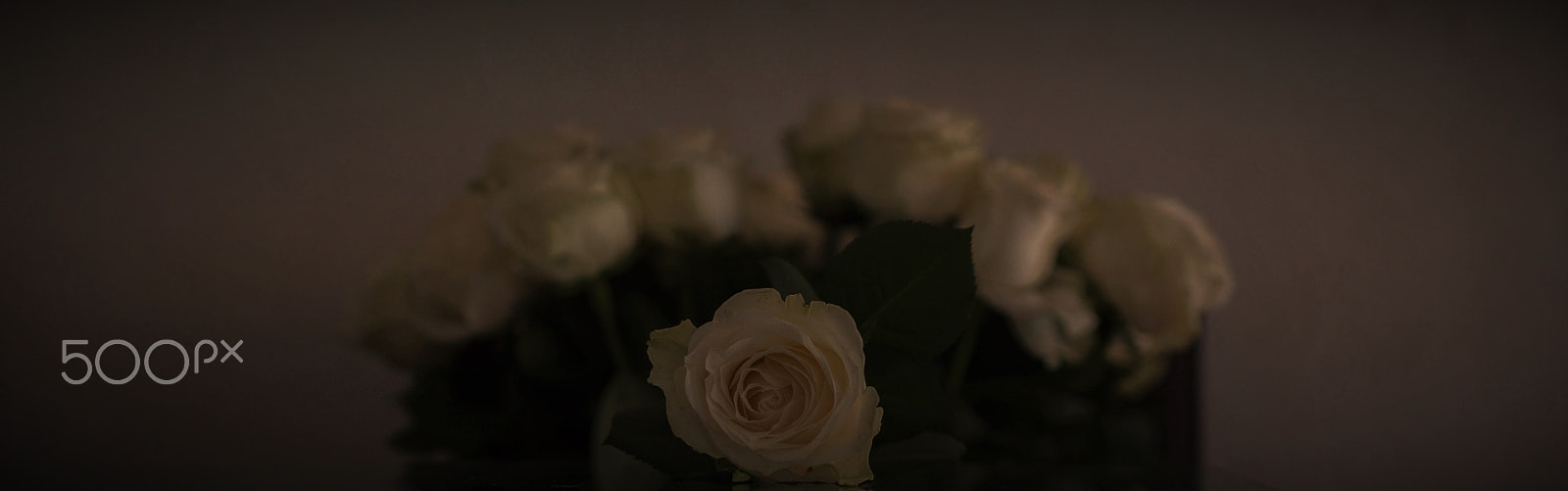 Nikon D750 + AF Micro-Nikkor 60mm f/2.8 sample photo. Bodegon photography