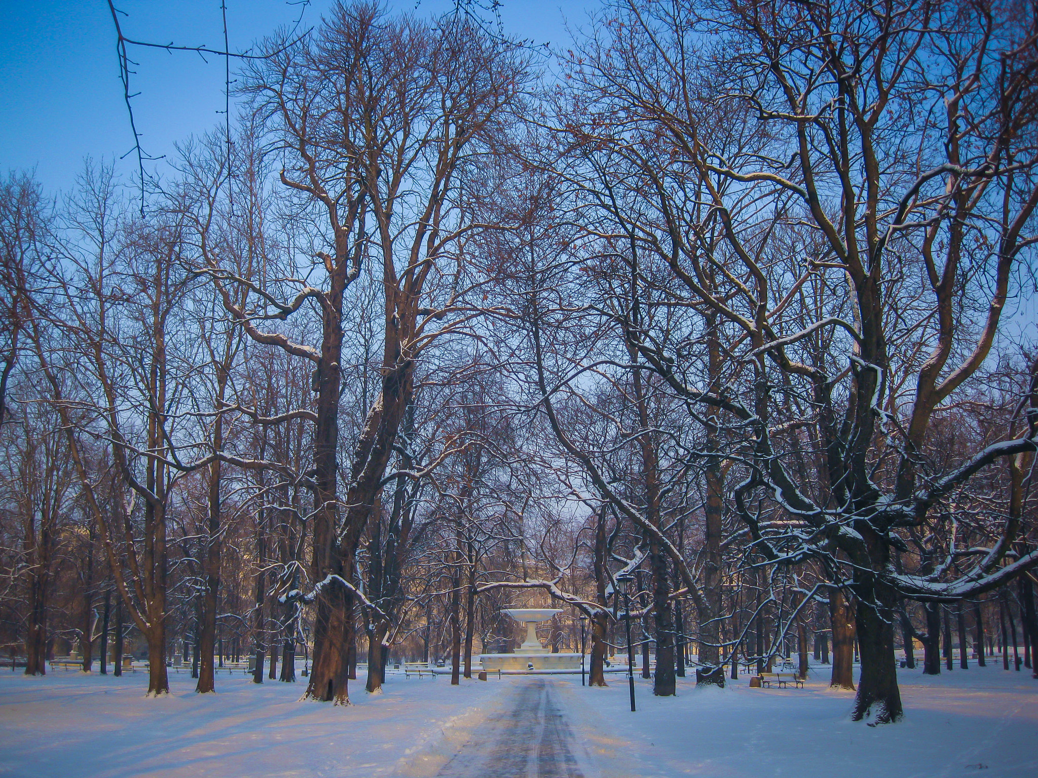Canon PowerShot SD790 IS (Digital IXUS 90 IS / IXY Digital 95 IS) sample photo. Warschau (poland) - park in the winter photography