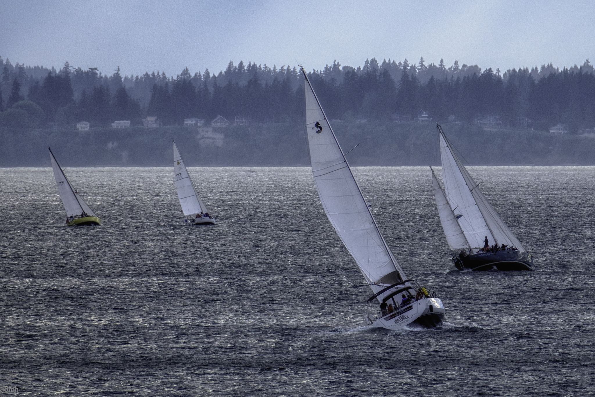 Fujifilm XF 100-400mm F4.5-5.6 R LM OIS WR sample photo. Reaching... photography