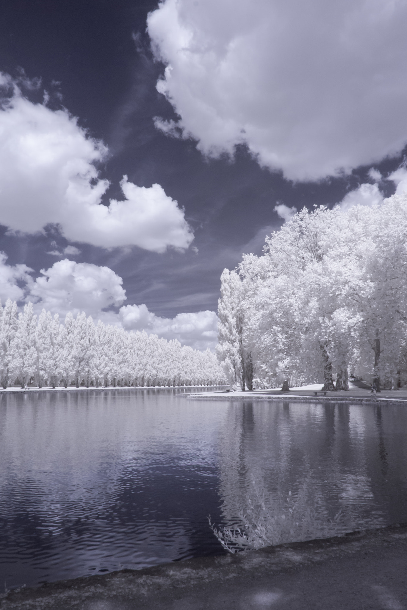 Panasonic Lumix DMC-GF1 sample photo. Sceaux park in infrared photography