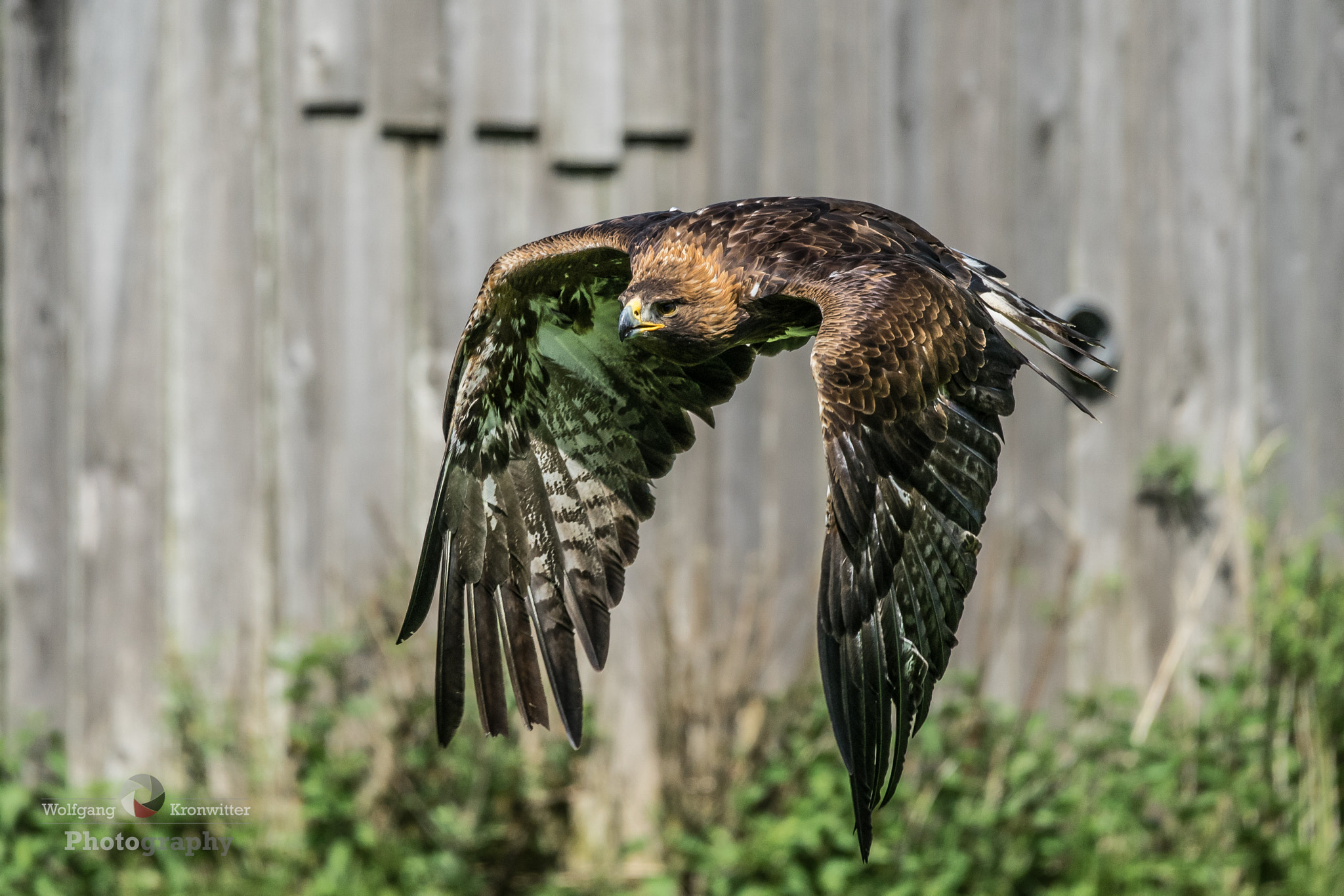 Sony 70-400mm F4-5.6 G SSM II sample photo. Facing the target photography