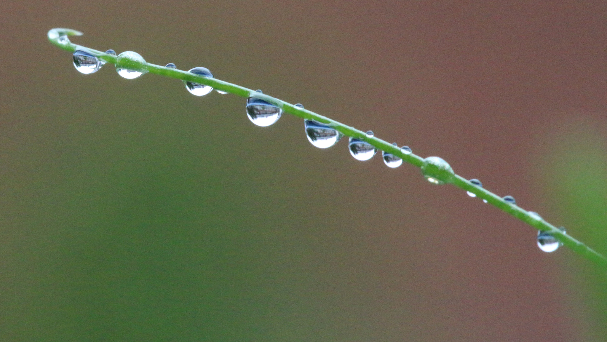 Canon EF 180mm F3.5L Macro USM sample photo. Mirroring photography