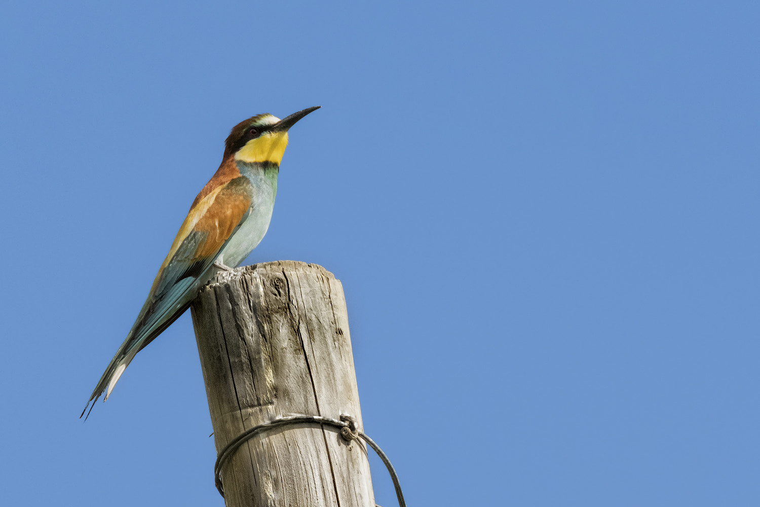 XF100-400mmF4.5-5.6 R LM OIS WR + 1.4x sample photo. Weinwaechter piccure photography